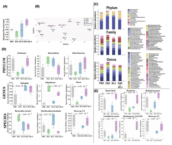 Red Cabbage Juice-Mediated Gut Microbiota Modulation Improves