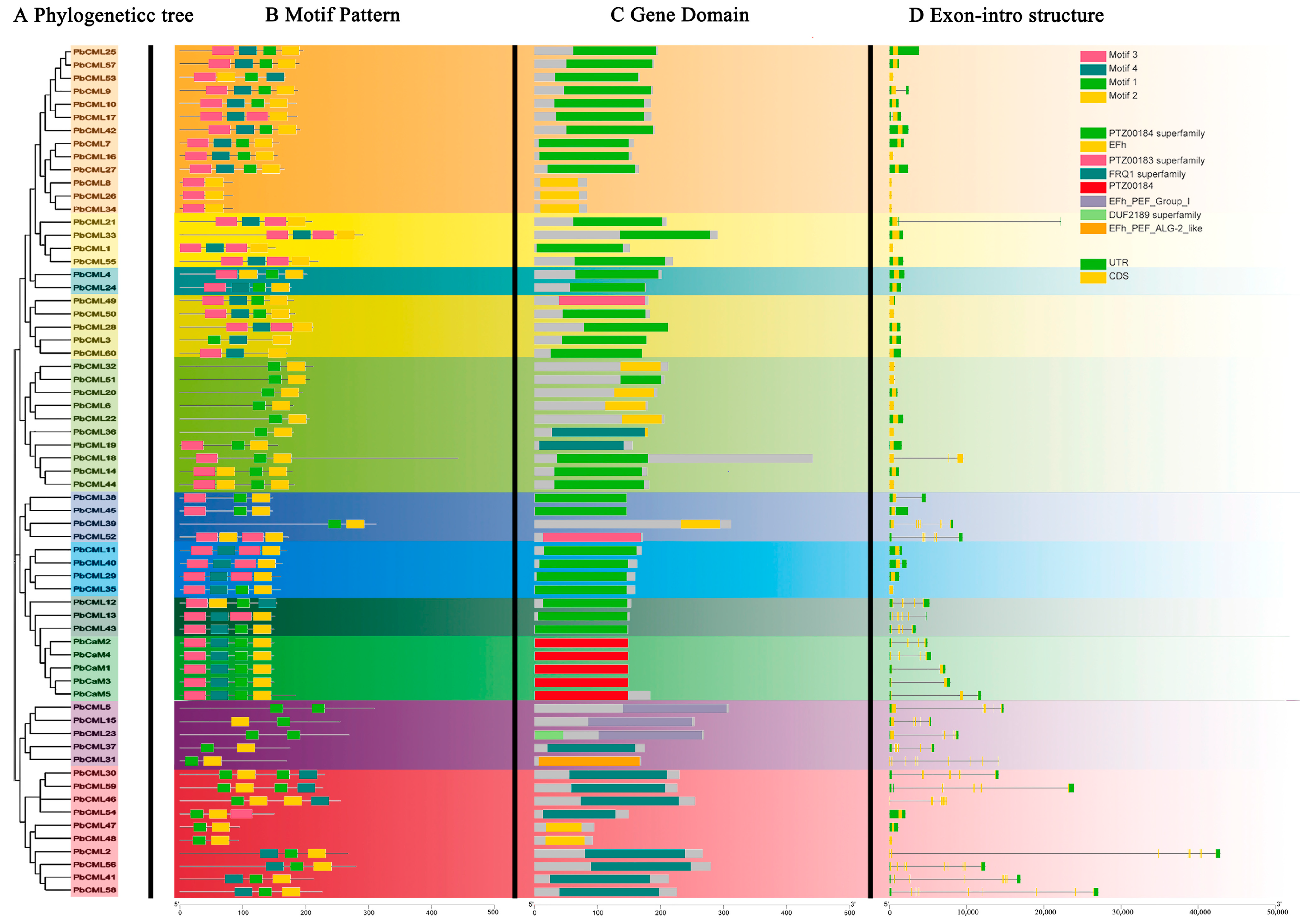 Ijms 25 00545 g002 Ijms 25 00545 g002