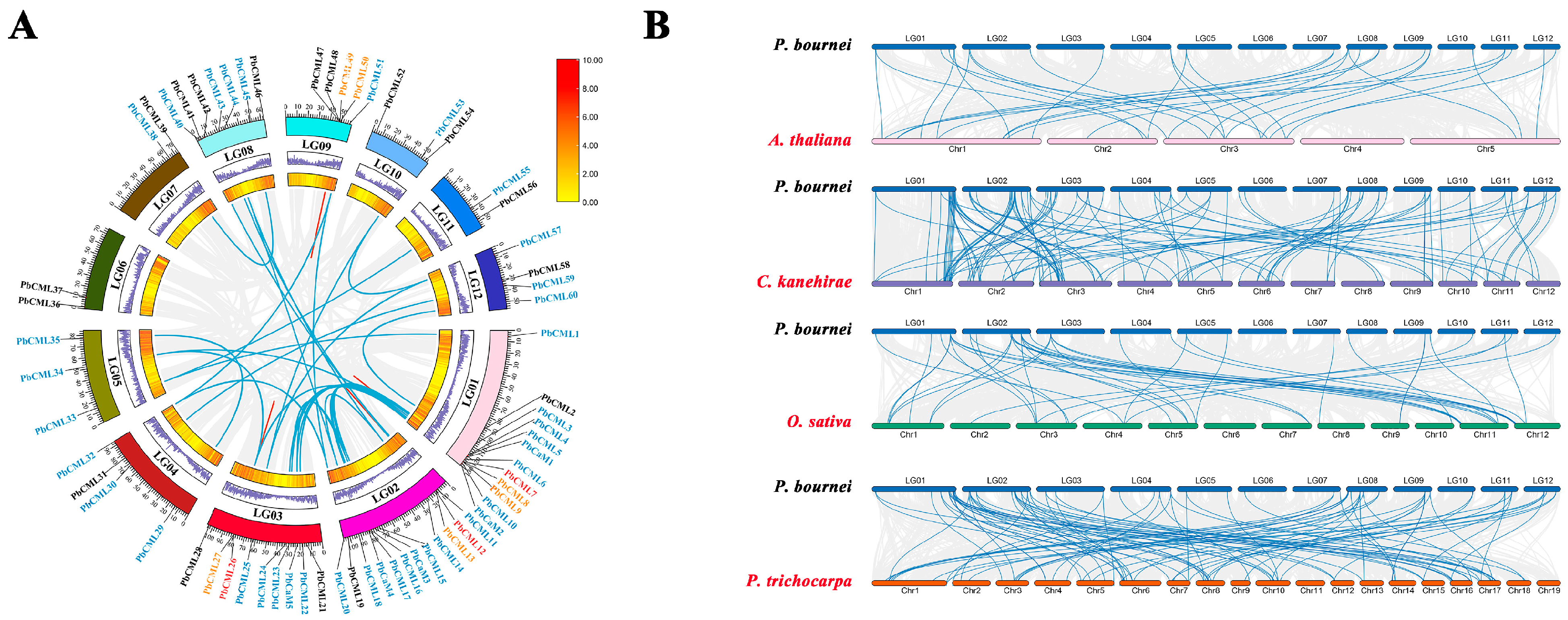 Ijms 25 00545 g004 Ijms 25 00545 g004