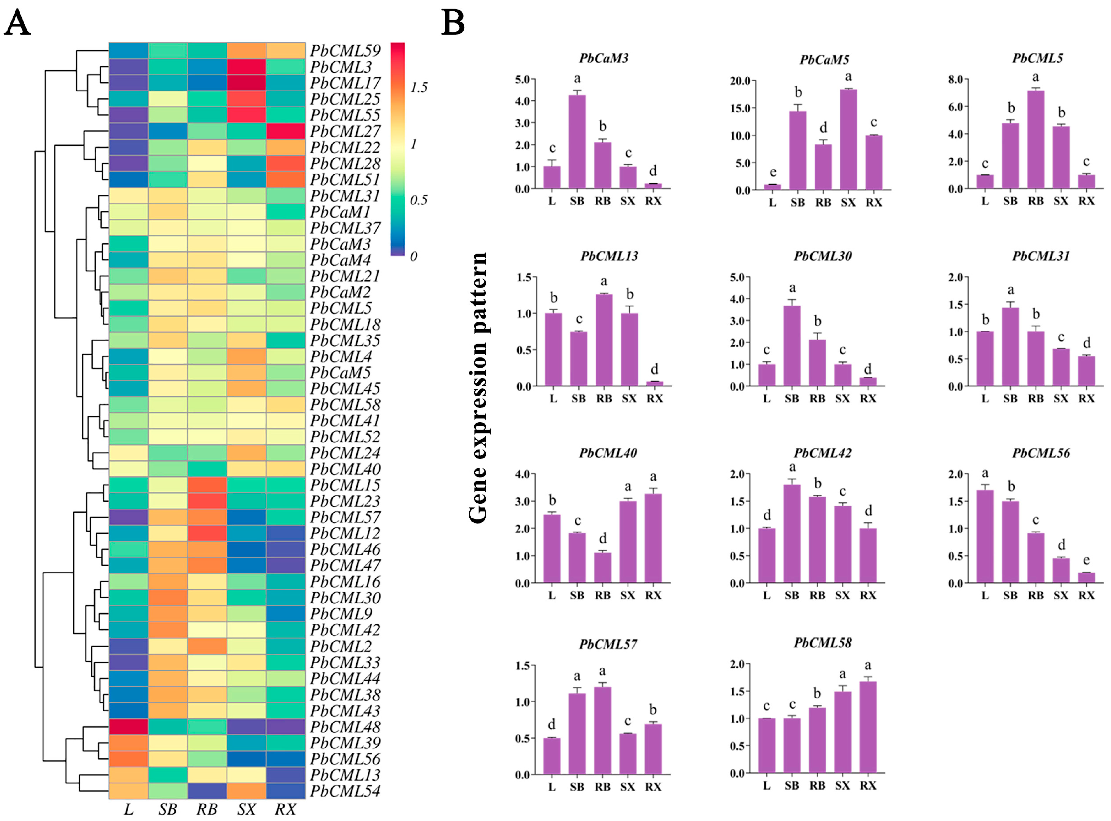 Ijms 25 00545 g005 Ijms 25 00545 g005