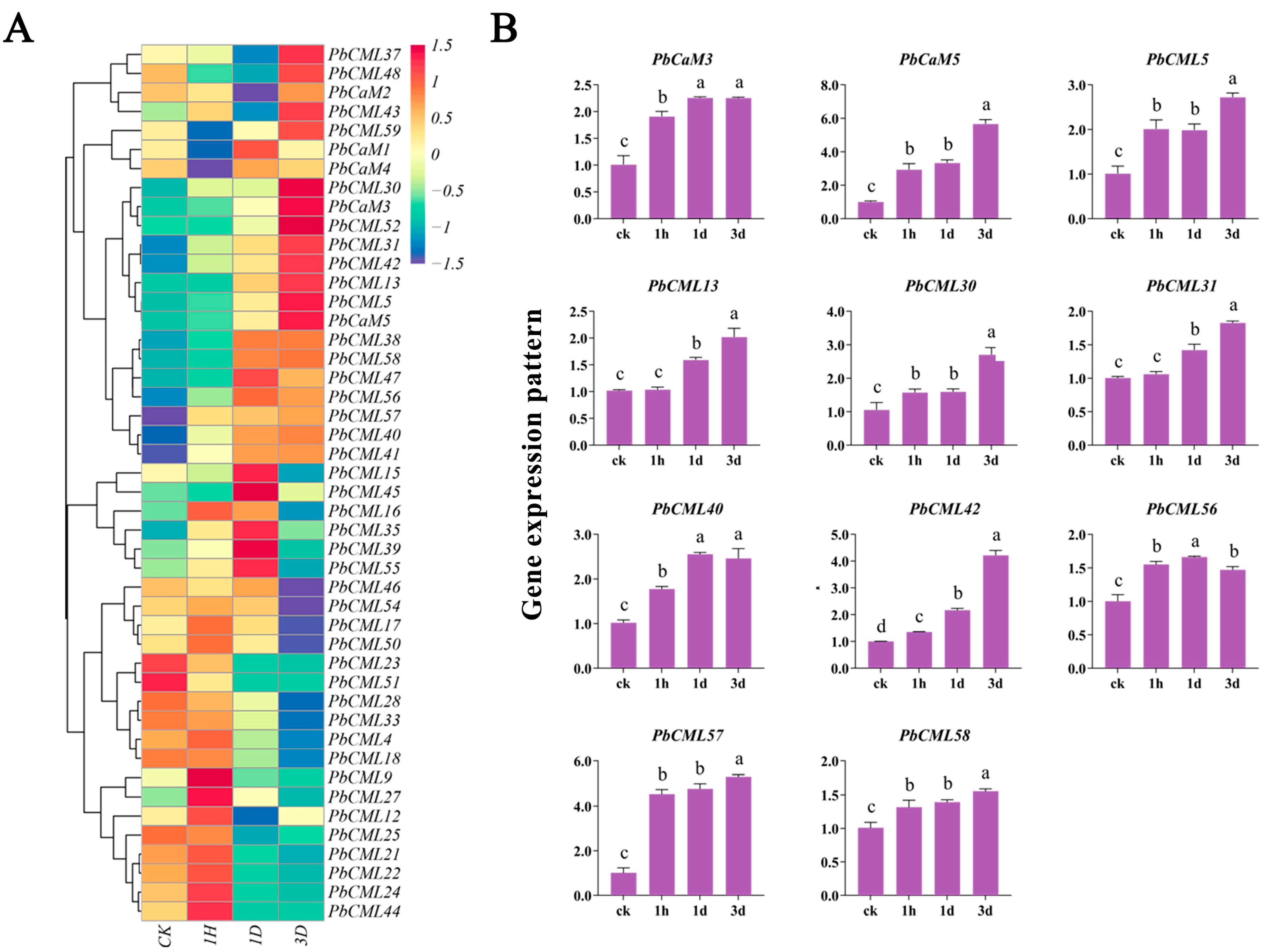 Ijms 25 00545 g006 Ijms 25 00545 g006