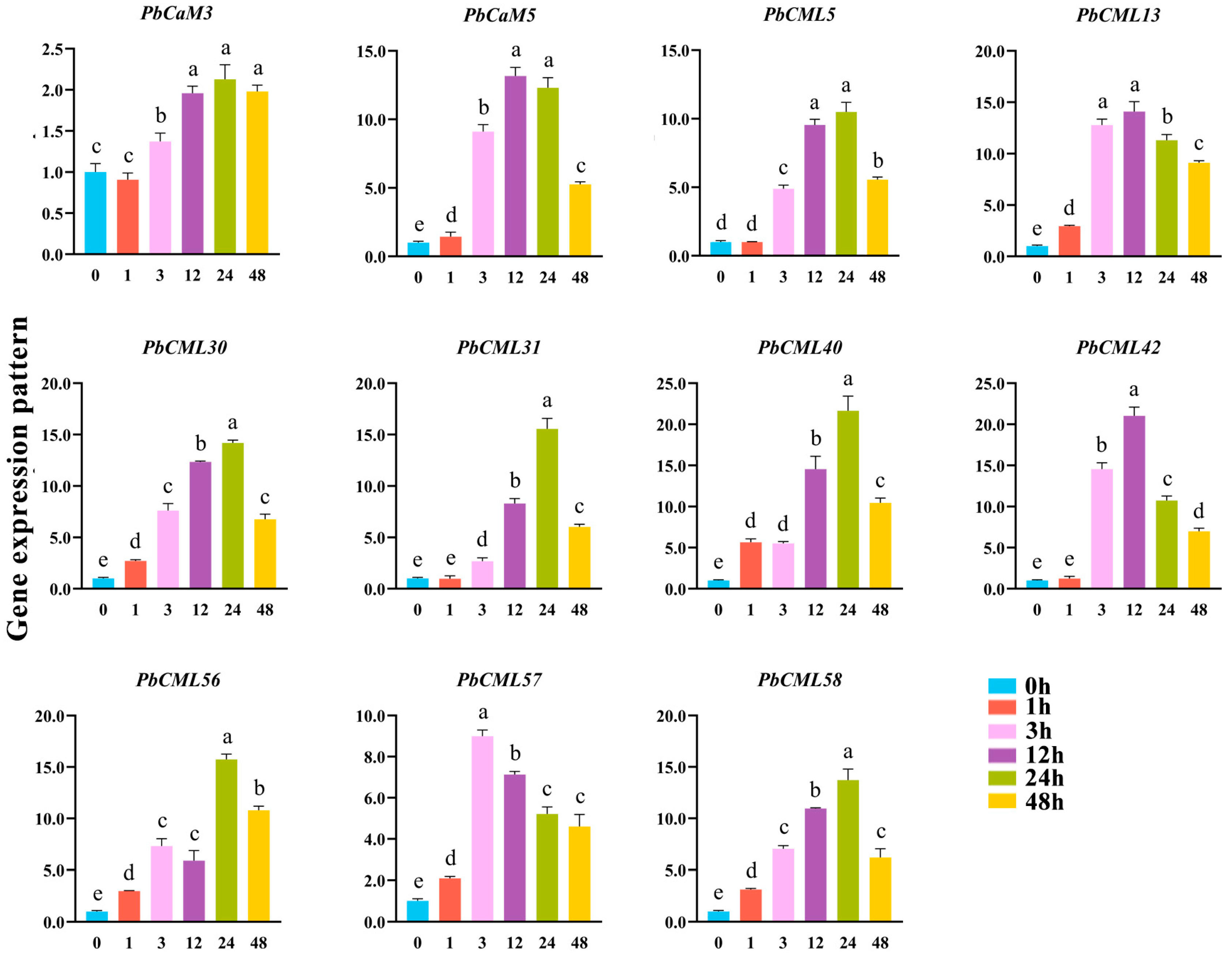 Ijms 25 00545 g007 Ijms 25 00545 g007