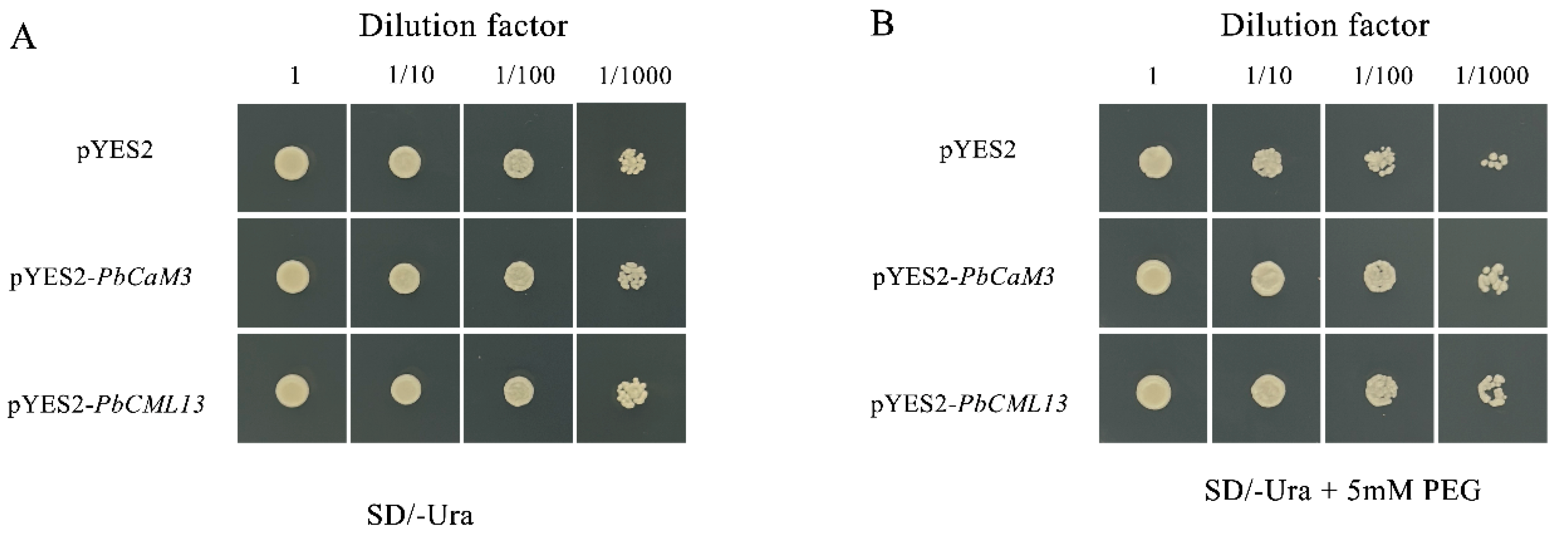 Ijms 25 00545 g009 Ijms 25 00545 g009