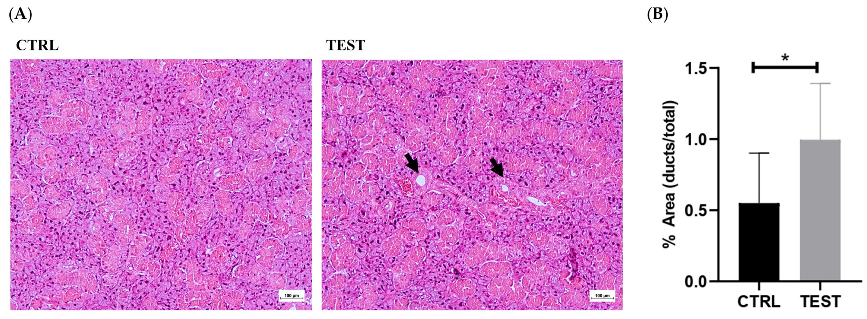 Ijms 25 00550 g003 Ijms 25 00550 g003