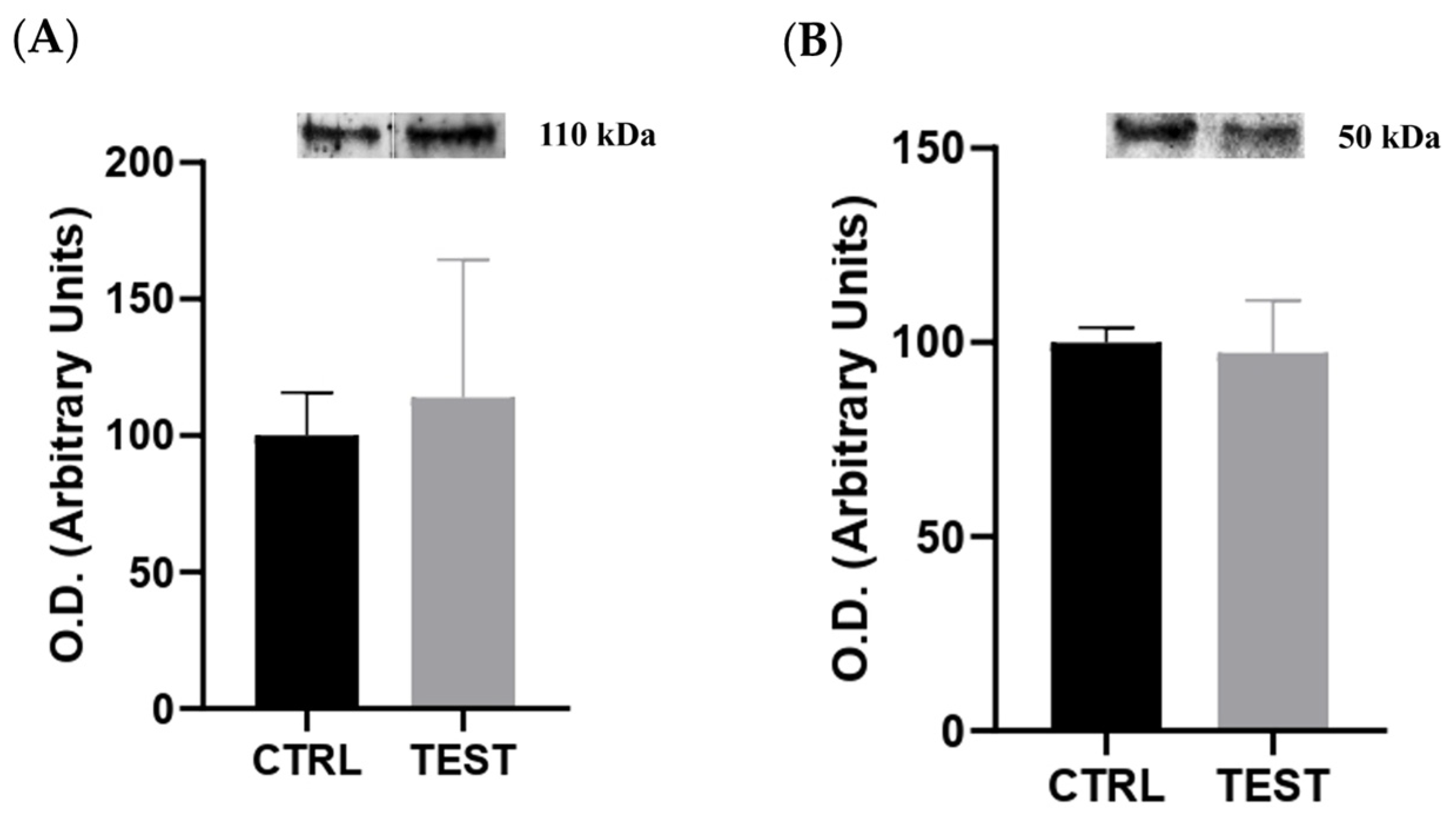 Ijms 25 00550 g004 Ijms 25 00550 g004