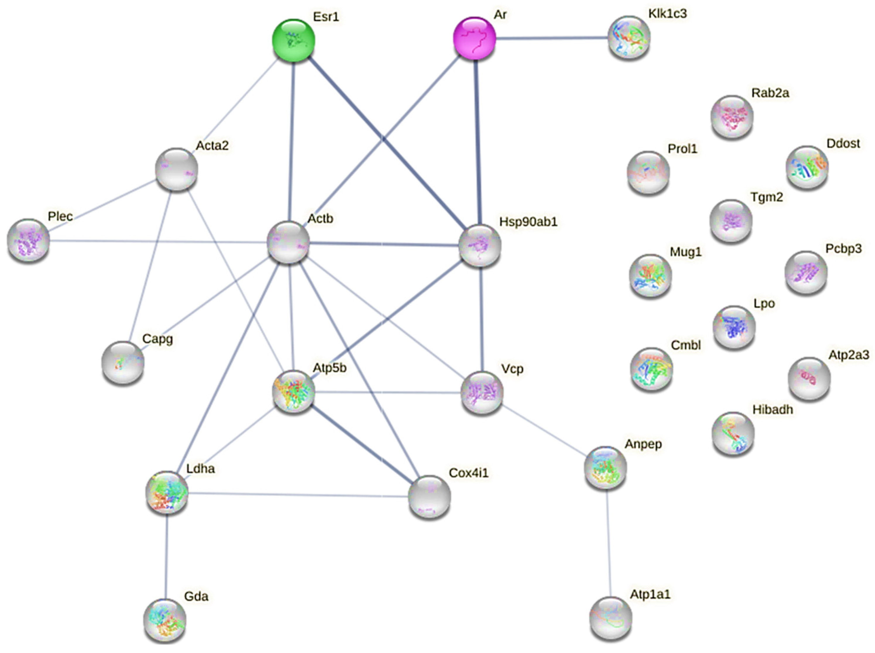 Ijms 25 00550 g007 Ijms 25 00550 g007