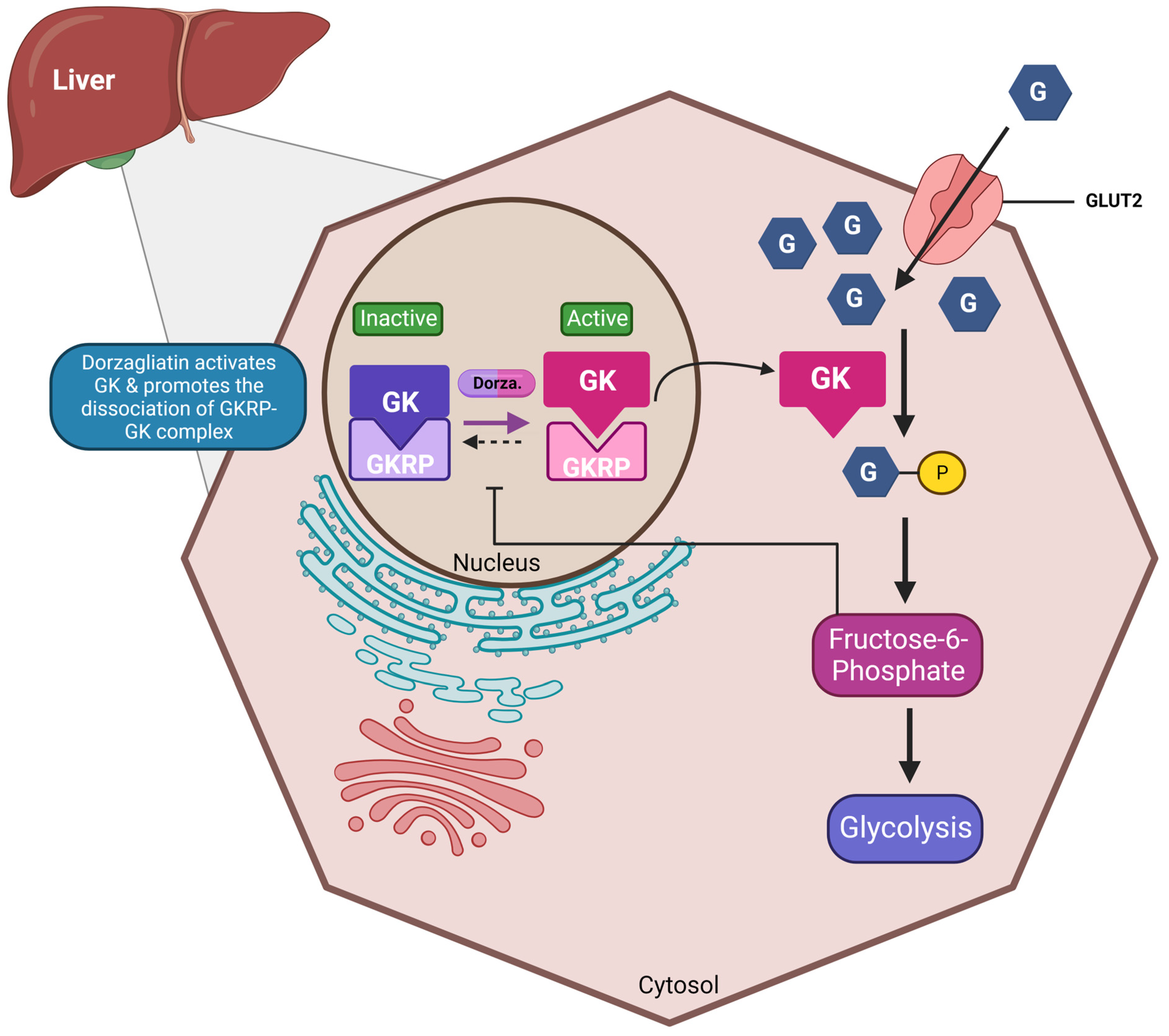 Ijms 25 00571 g002 Ijms 25 00571 g002