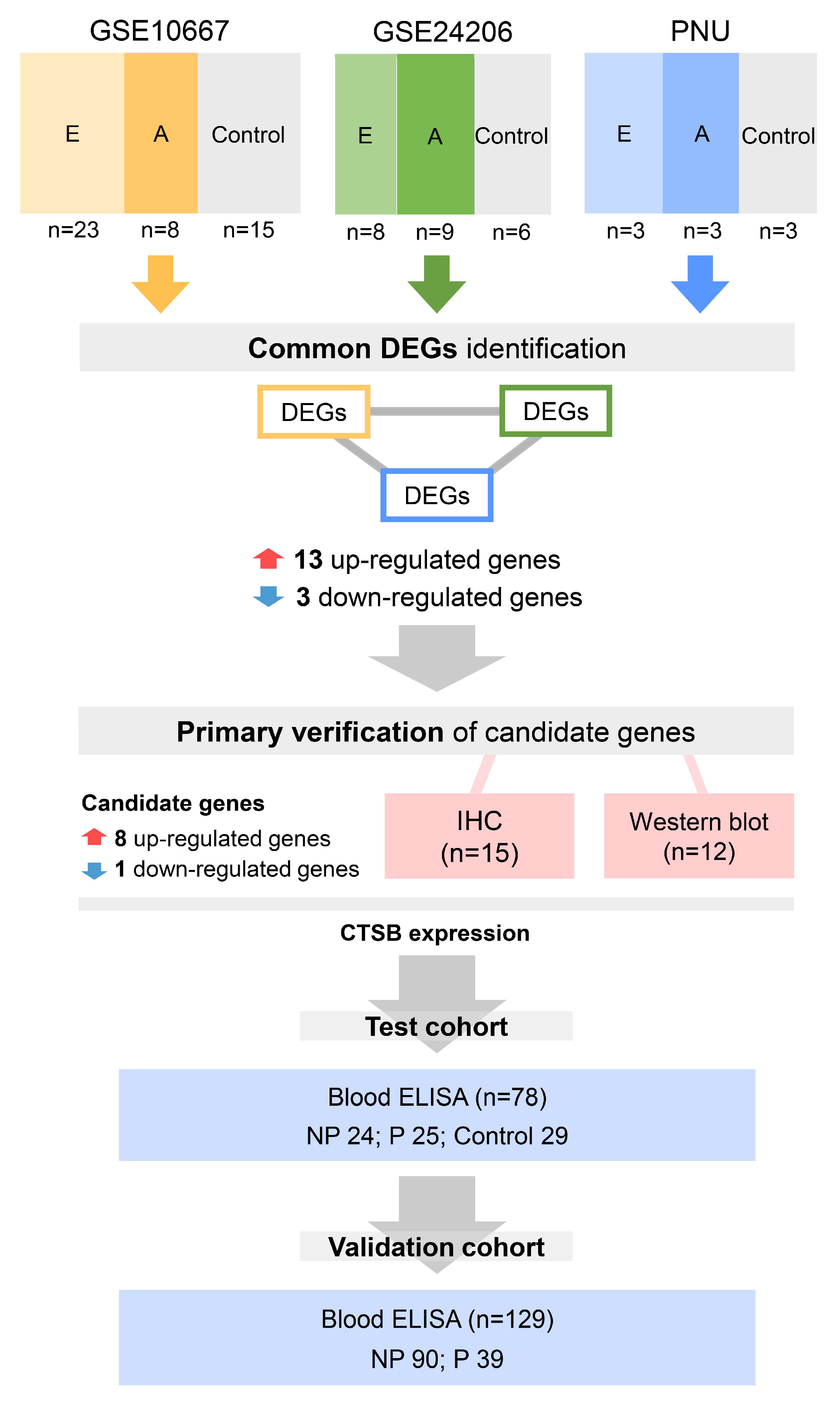 Ijms 25 00599 g001 Ijms 25 00599 g001