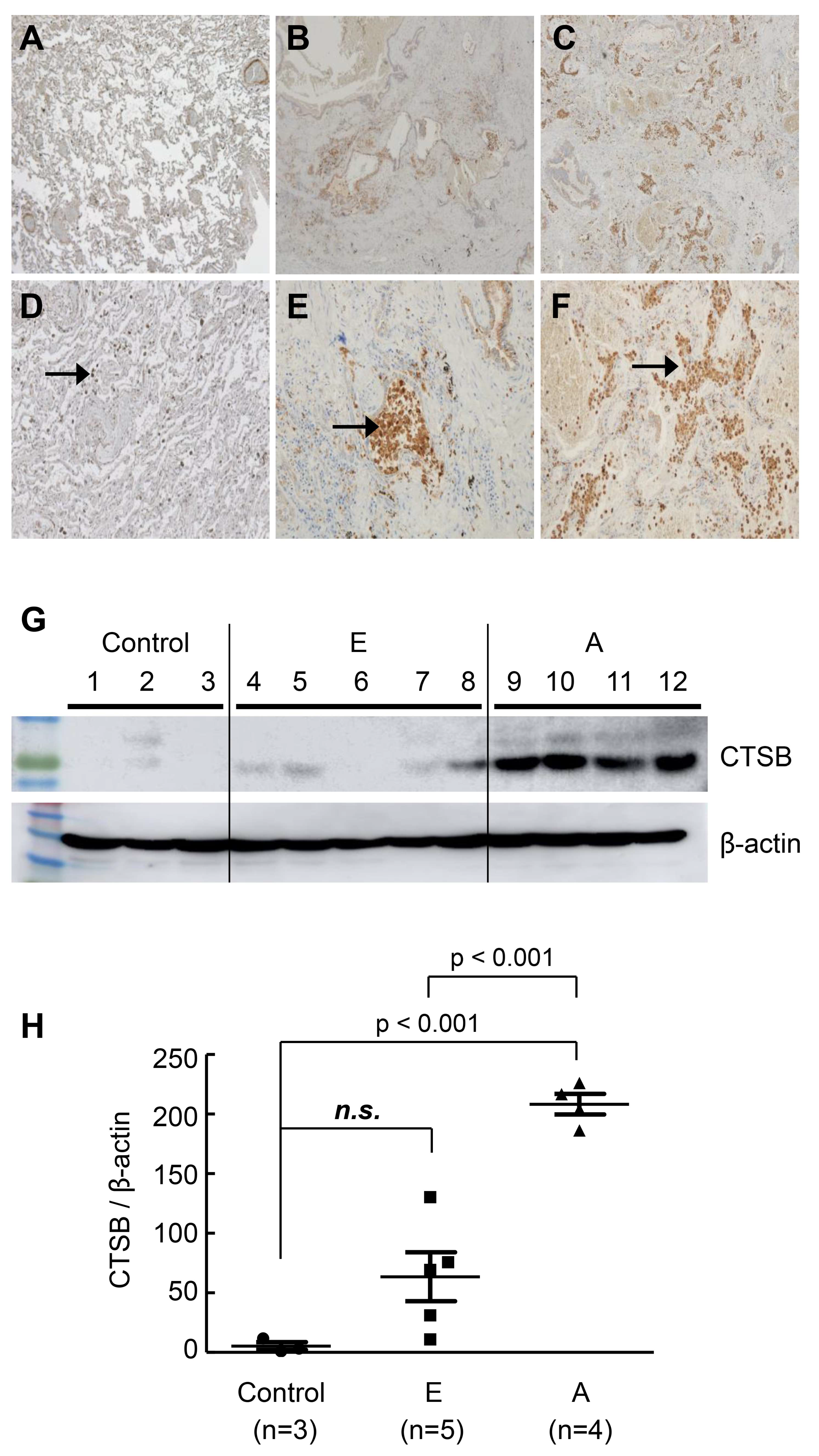 Ijms 25 00599 g003 Ijms 25 00599 g003