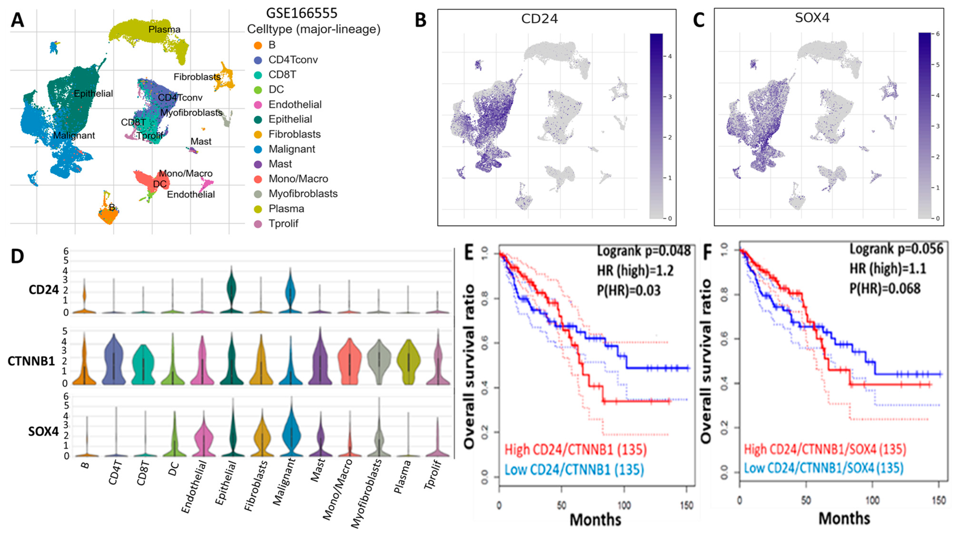 Ijms 25 00609 g003 Ijms 25 00609 g003