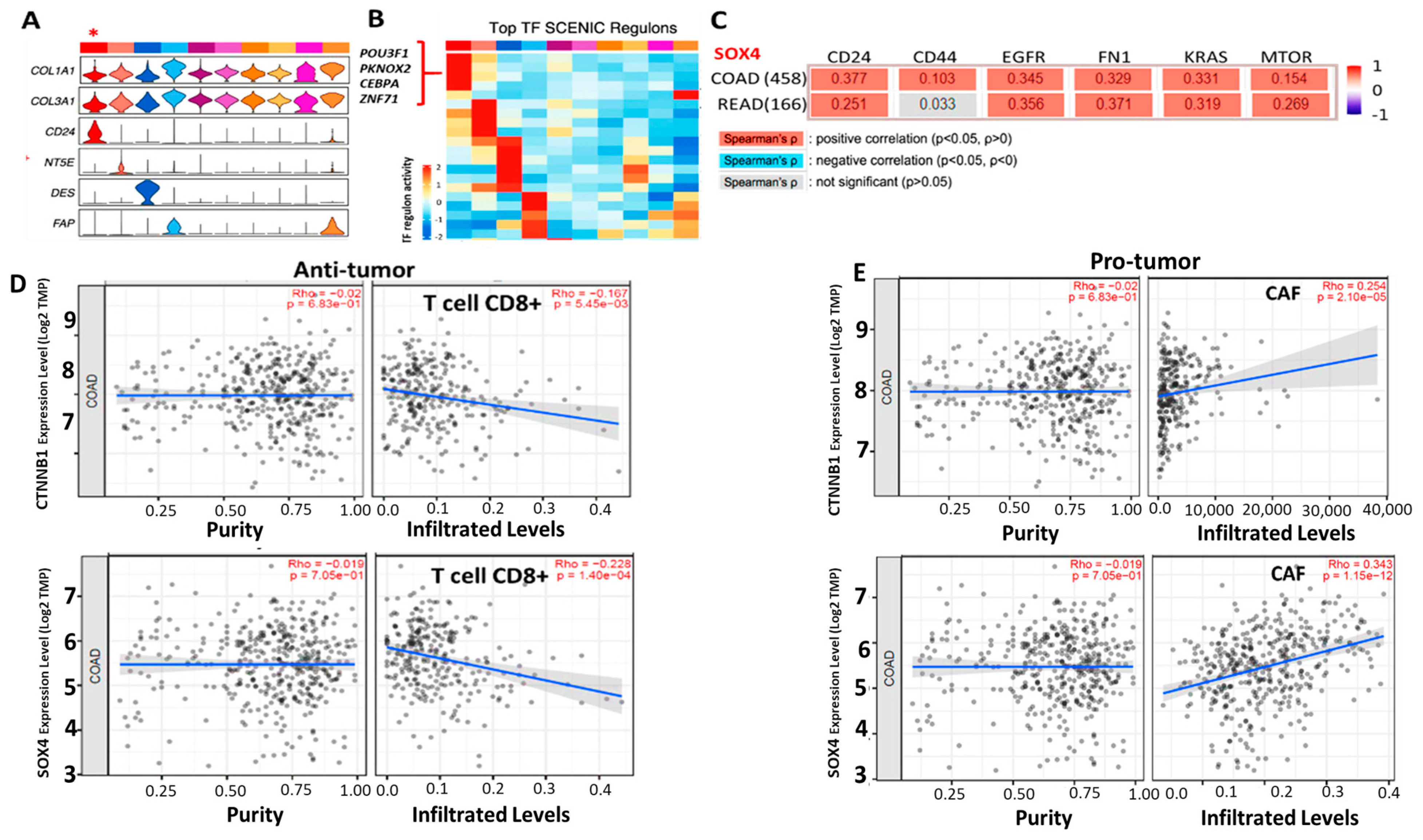 Ijms 25 00609 g005 Ijms 25 00609 g005