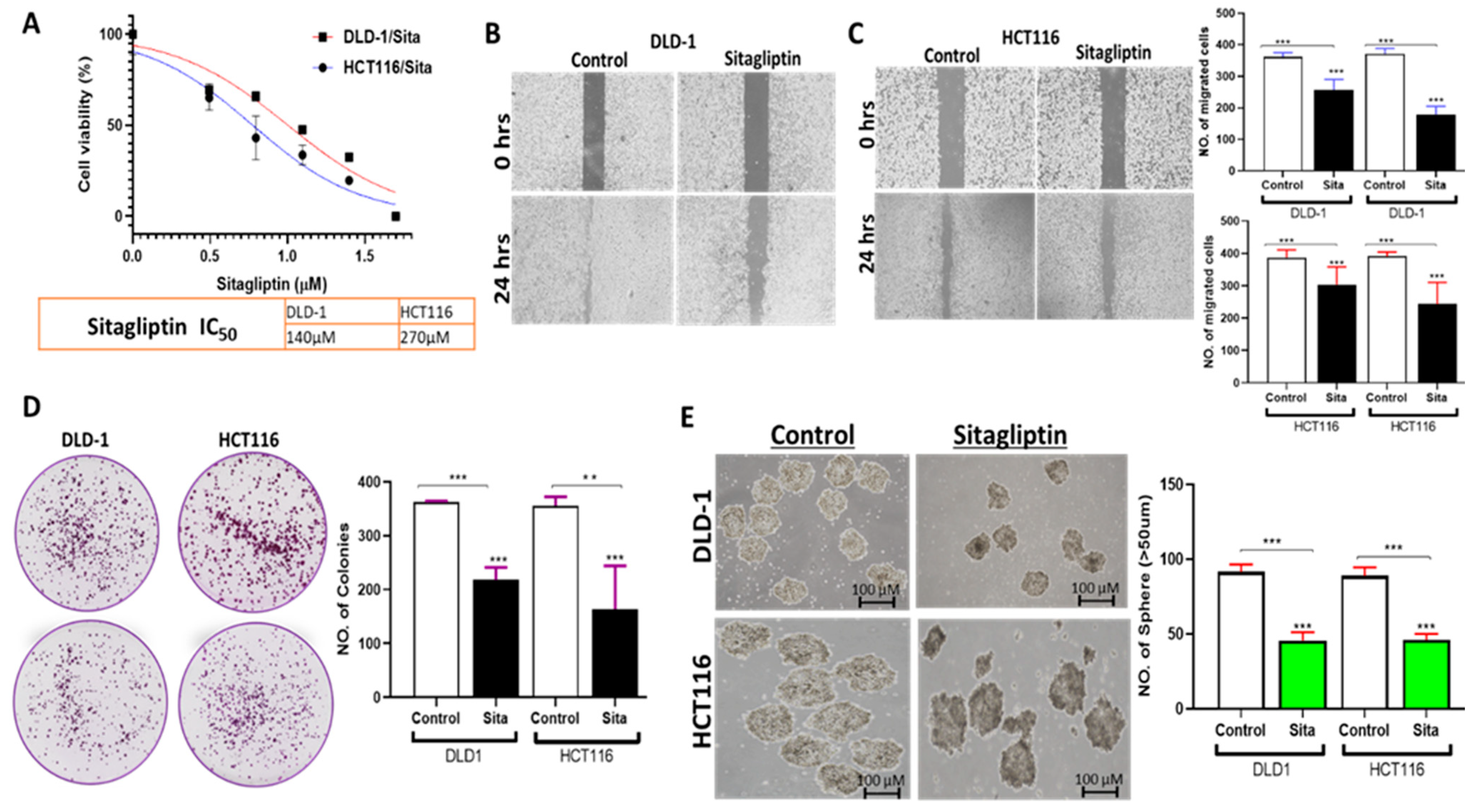 Ijms 25 00609 g008 Ijms 25 00609 g008