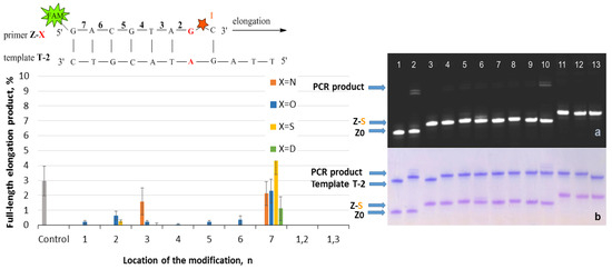 Phosphoramidate Azole Oligonucleotides for Single Nucleotide