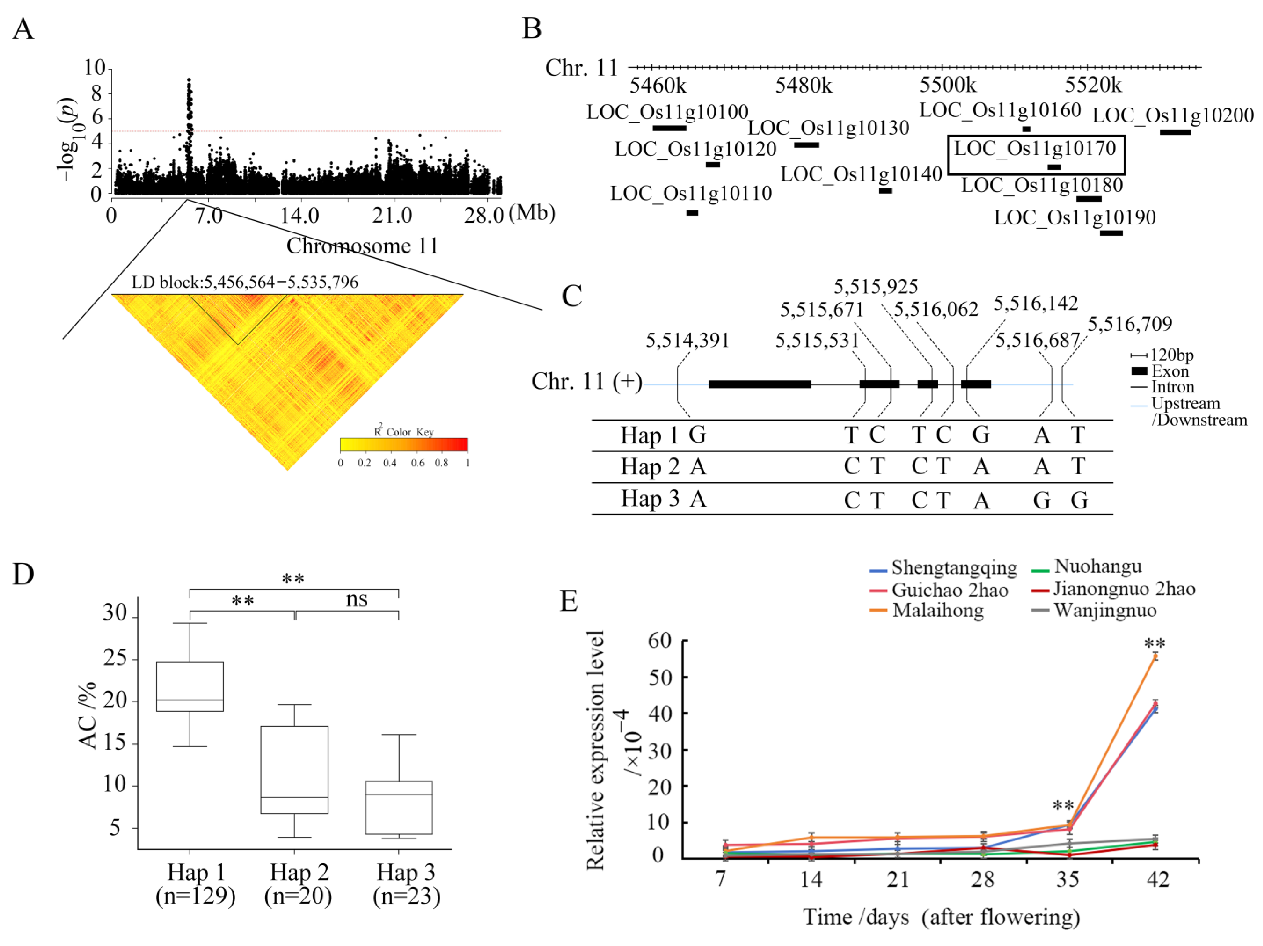 全国どこでも送料無料！ Candidate and Detection QTL Gene Eating for Identification ピアス