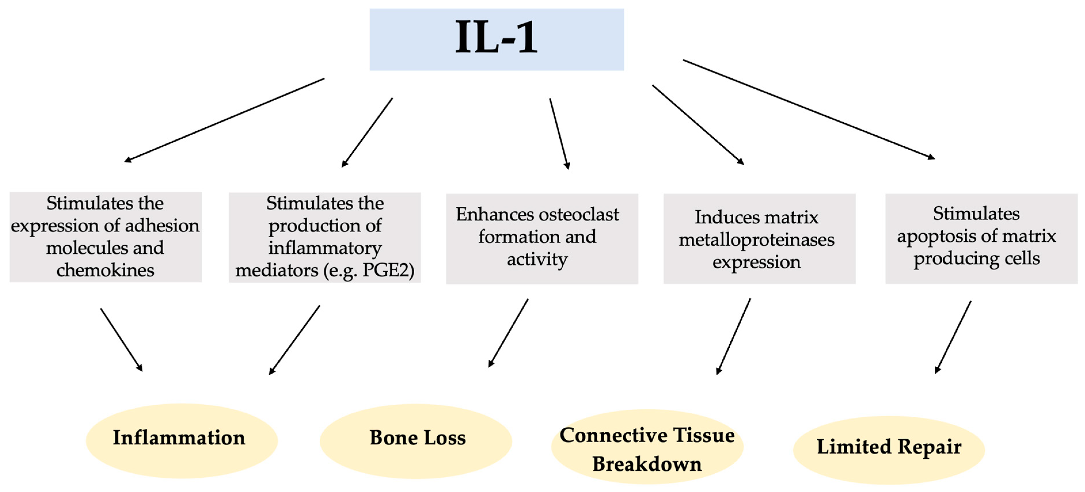 Ijms 25 00651 sch001