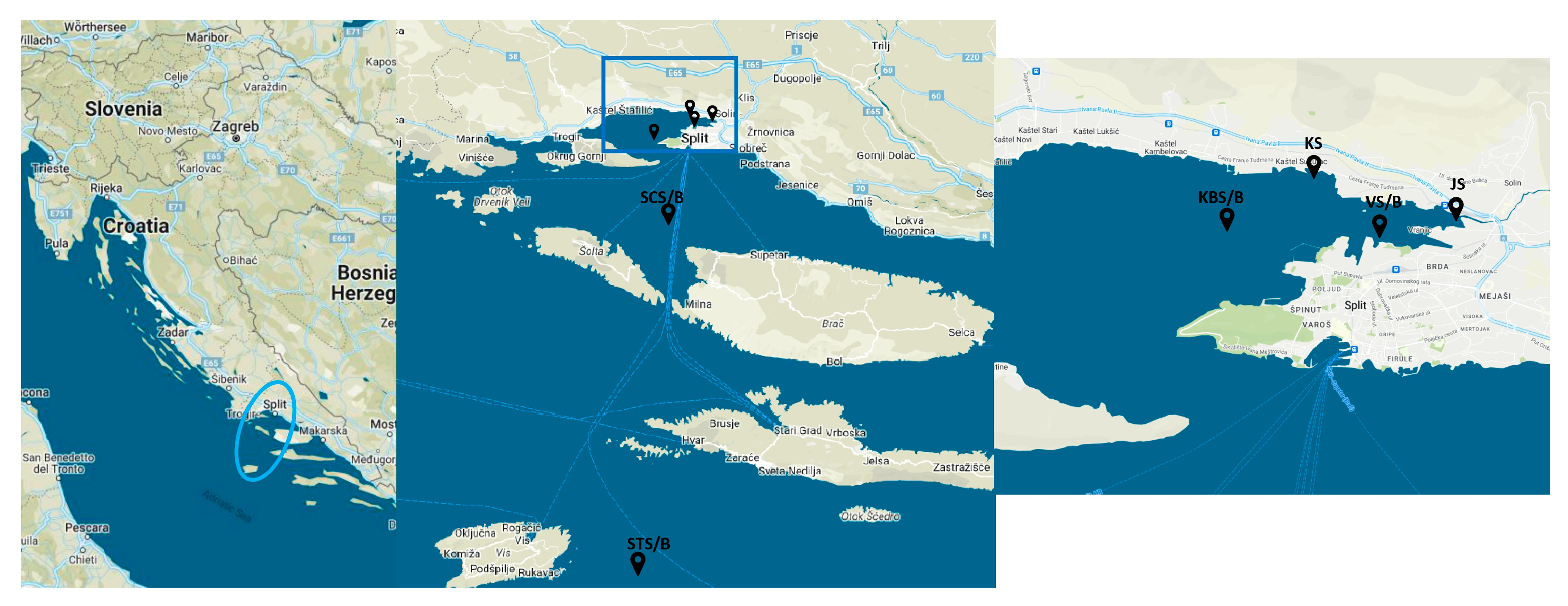 Ijms 25 00654 g007 Ijms 25 00654 g007