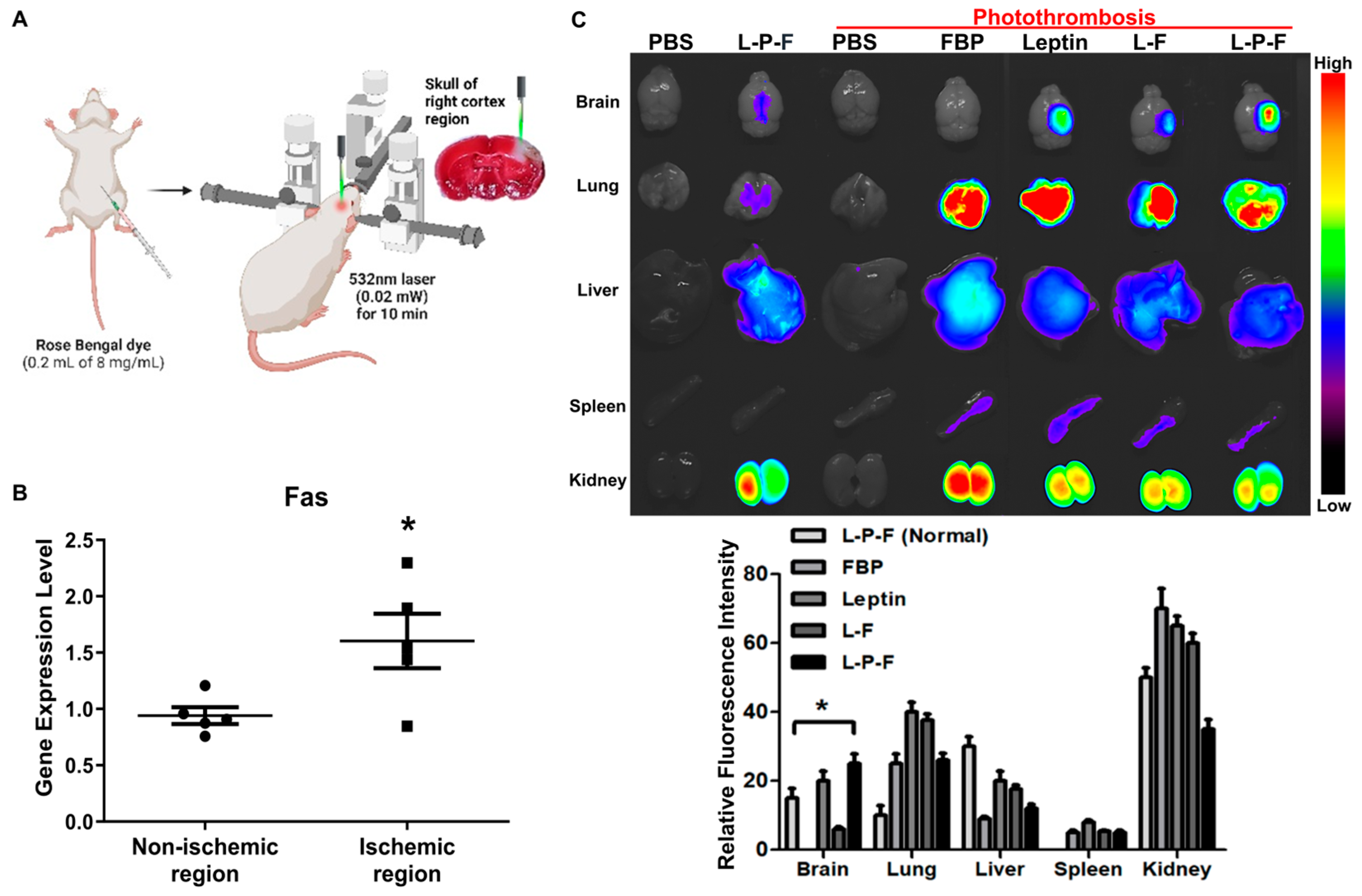 Ijms 25 00661 g002 Ijms 25 00661 g002