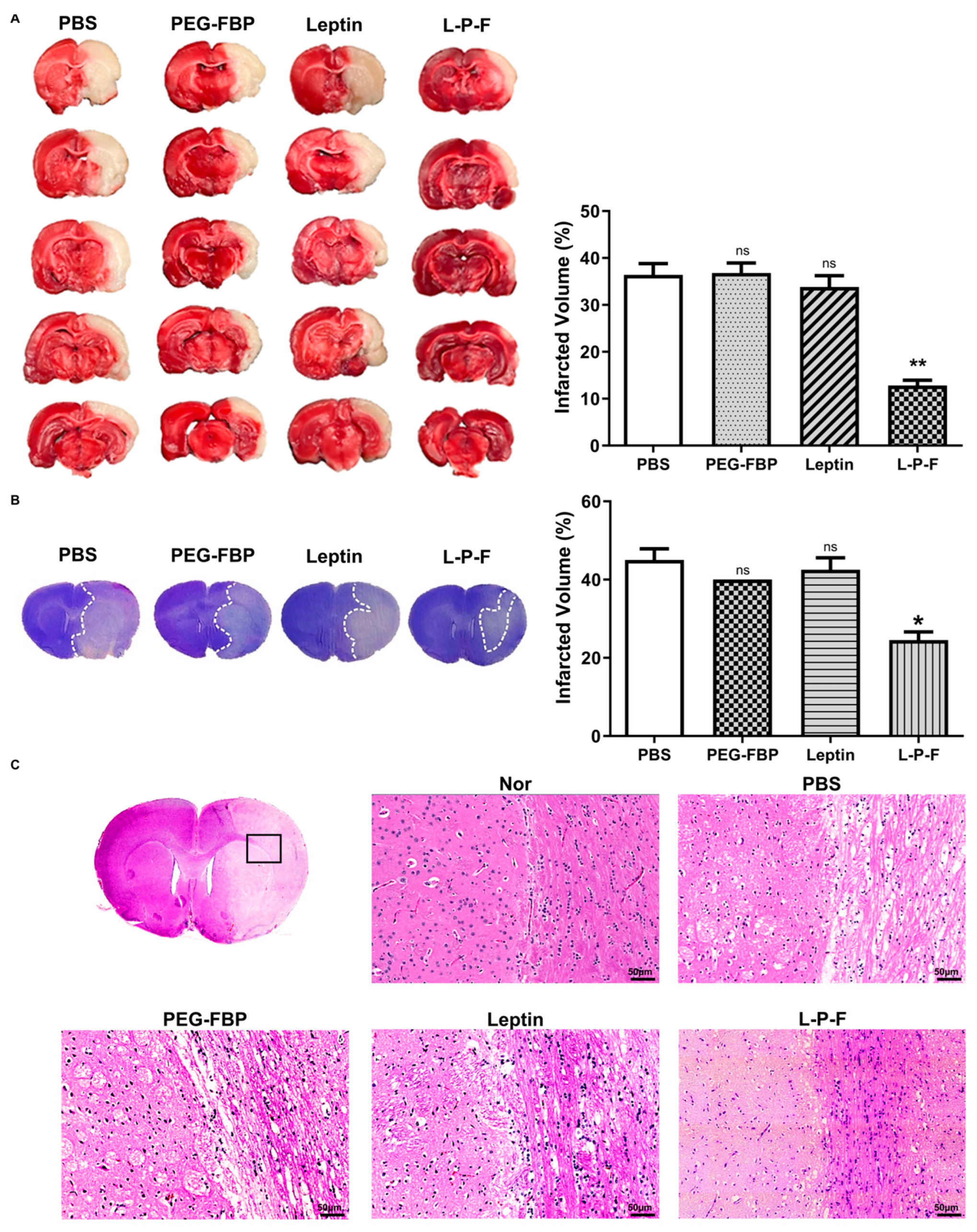 Ijms 25 00661 g006 Ijms 25 00661 g006