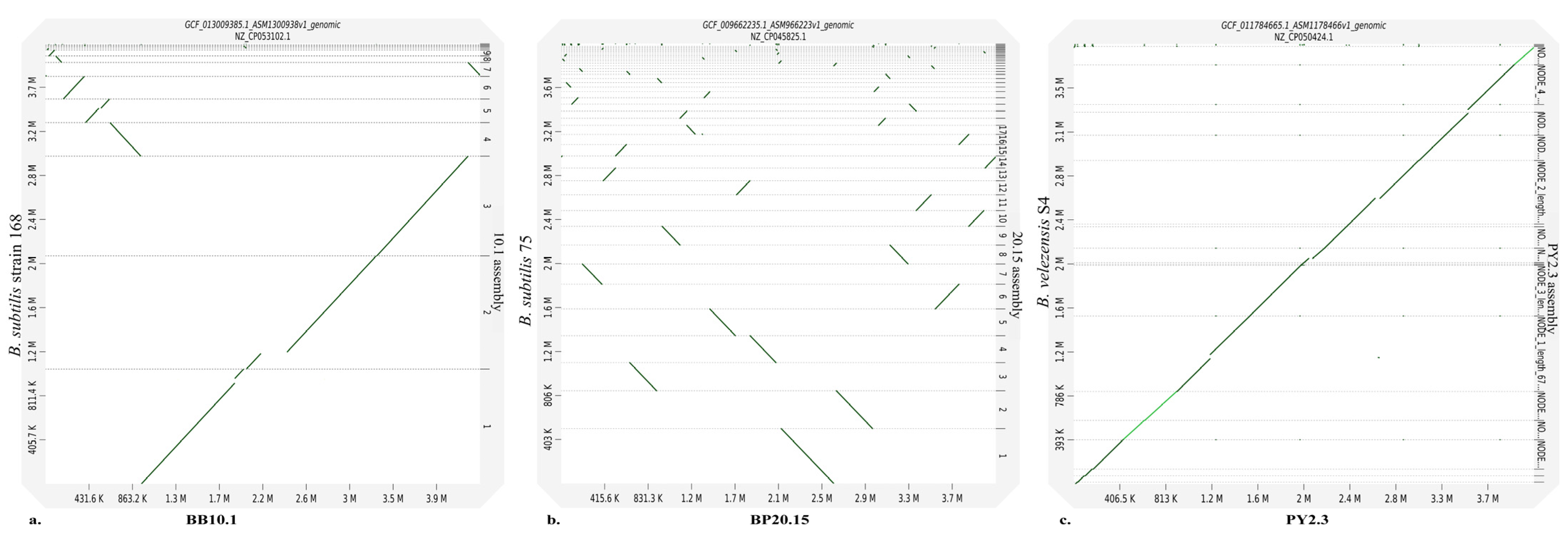 Ijms 25 00666 g001 Ijms 25 00666 g001