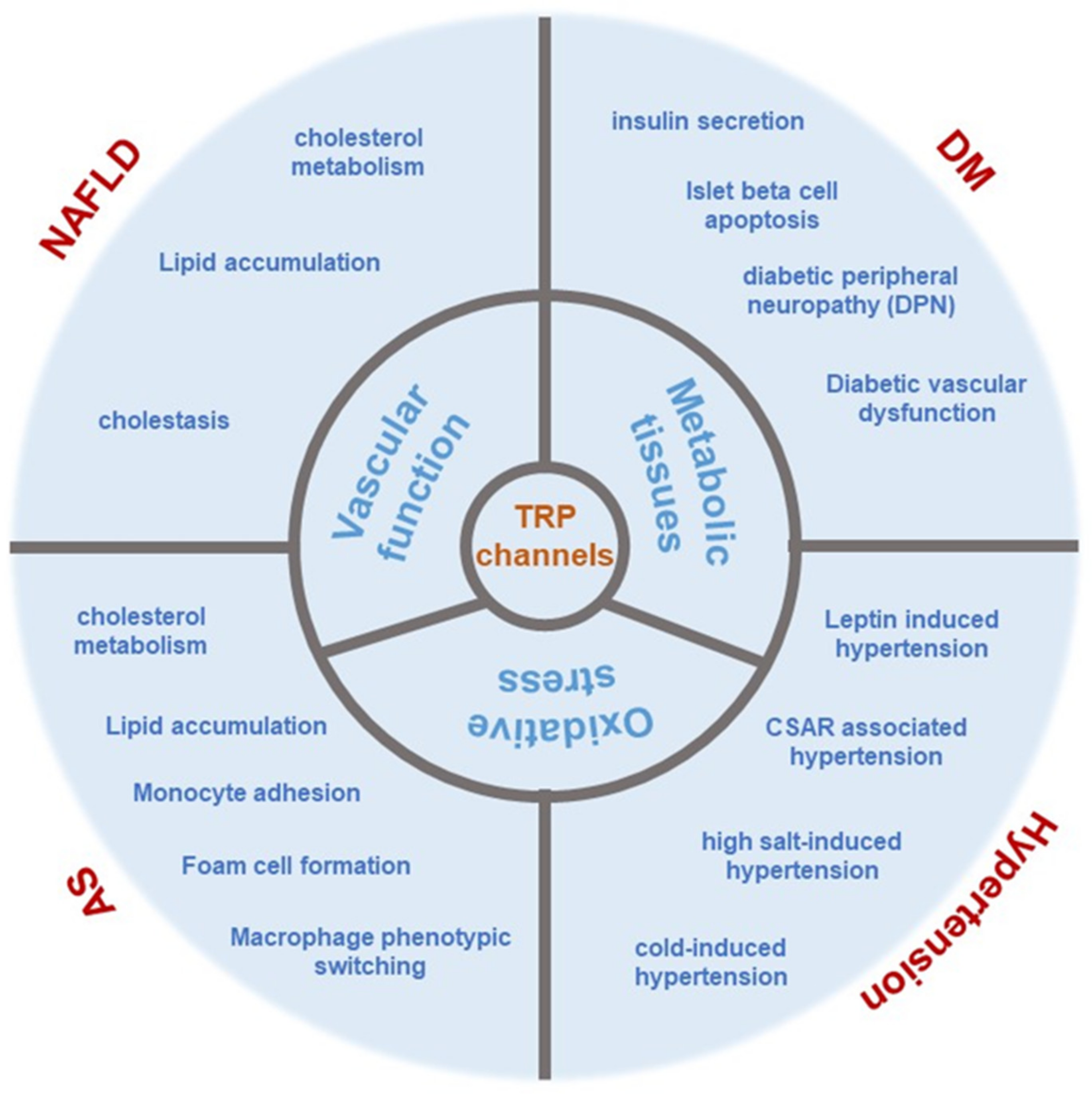 Ijms 25 00692 g005 Ijms 25 00692 g005