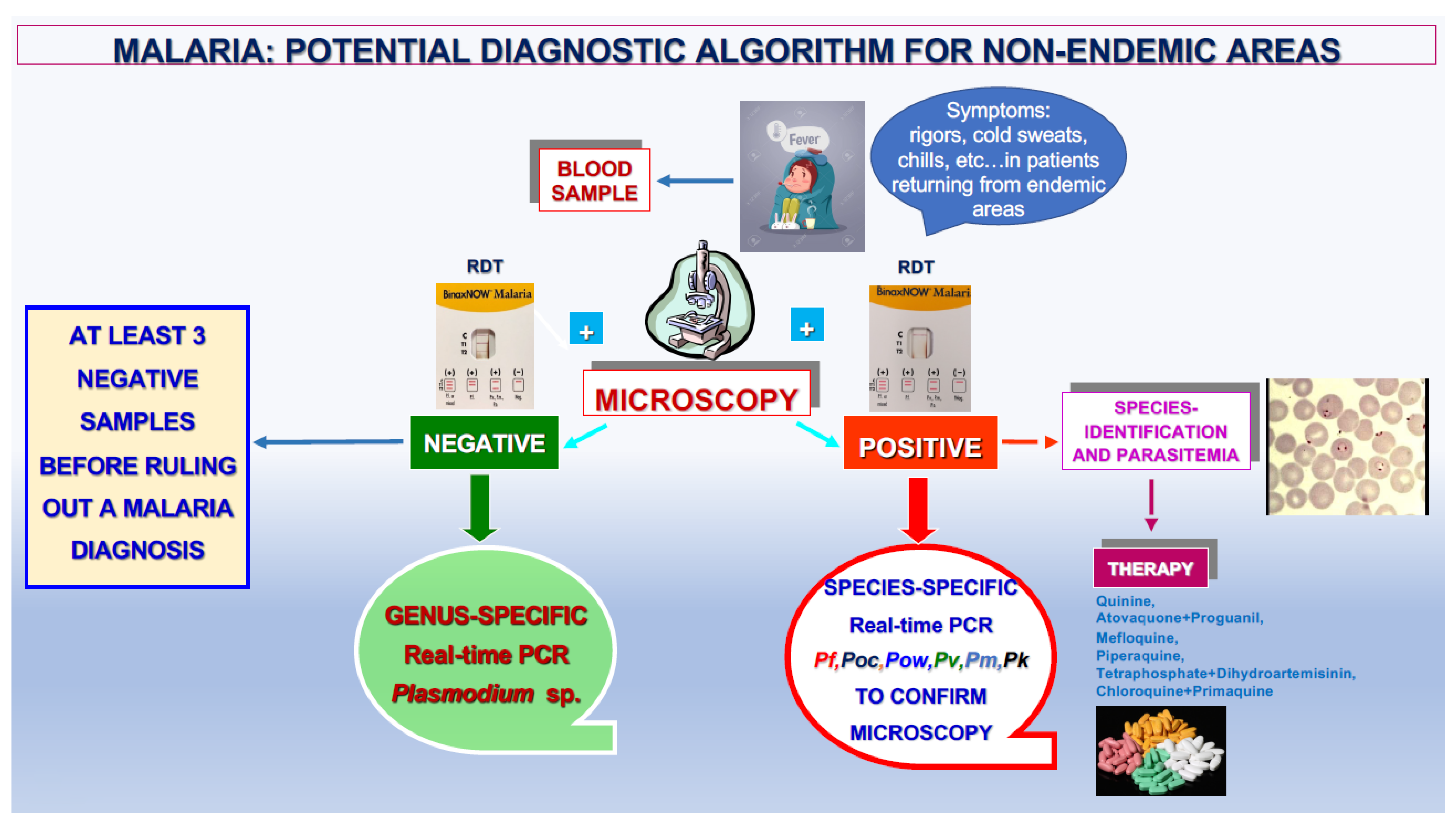 Ijms 25 00695 g006 Ijms 25 00695 g006