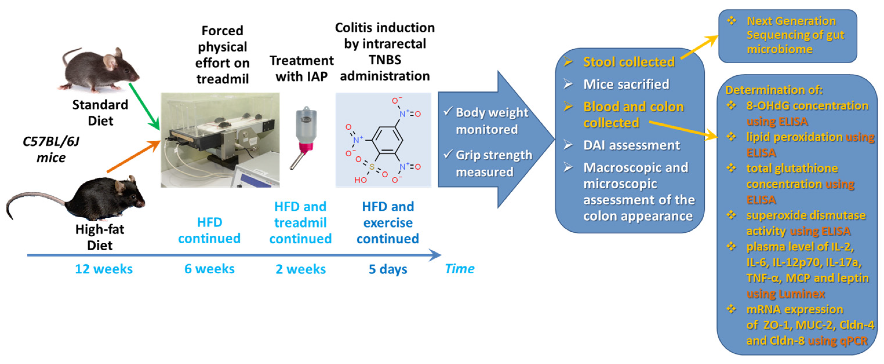 Ijms 25 00703 g008 Ijms 25 00703 g008