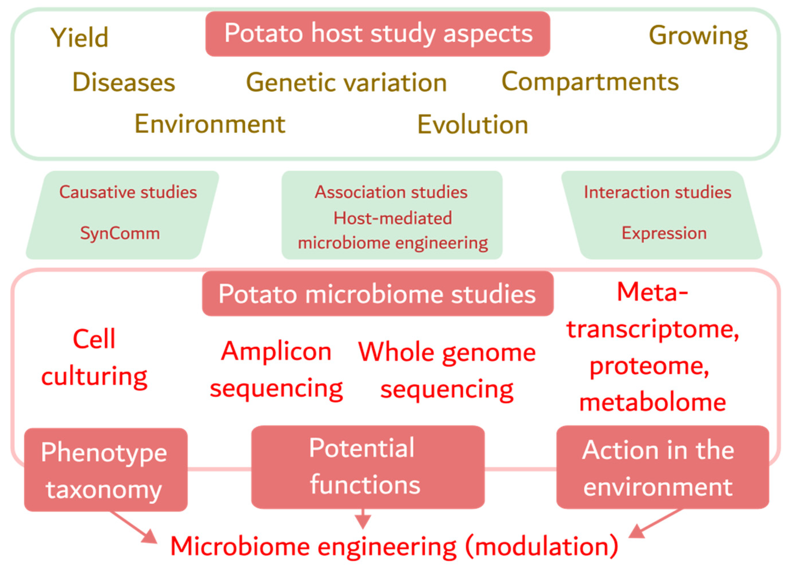 Ijms 25 00750 g001 Ijms 25 00750 g001