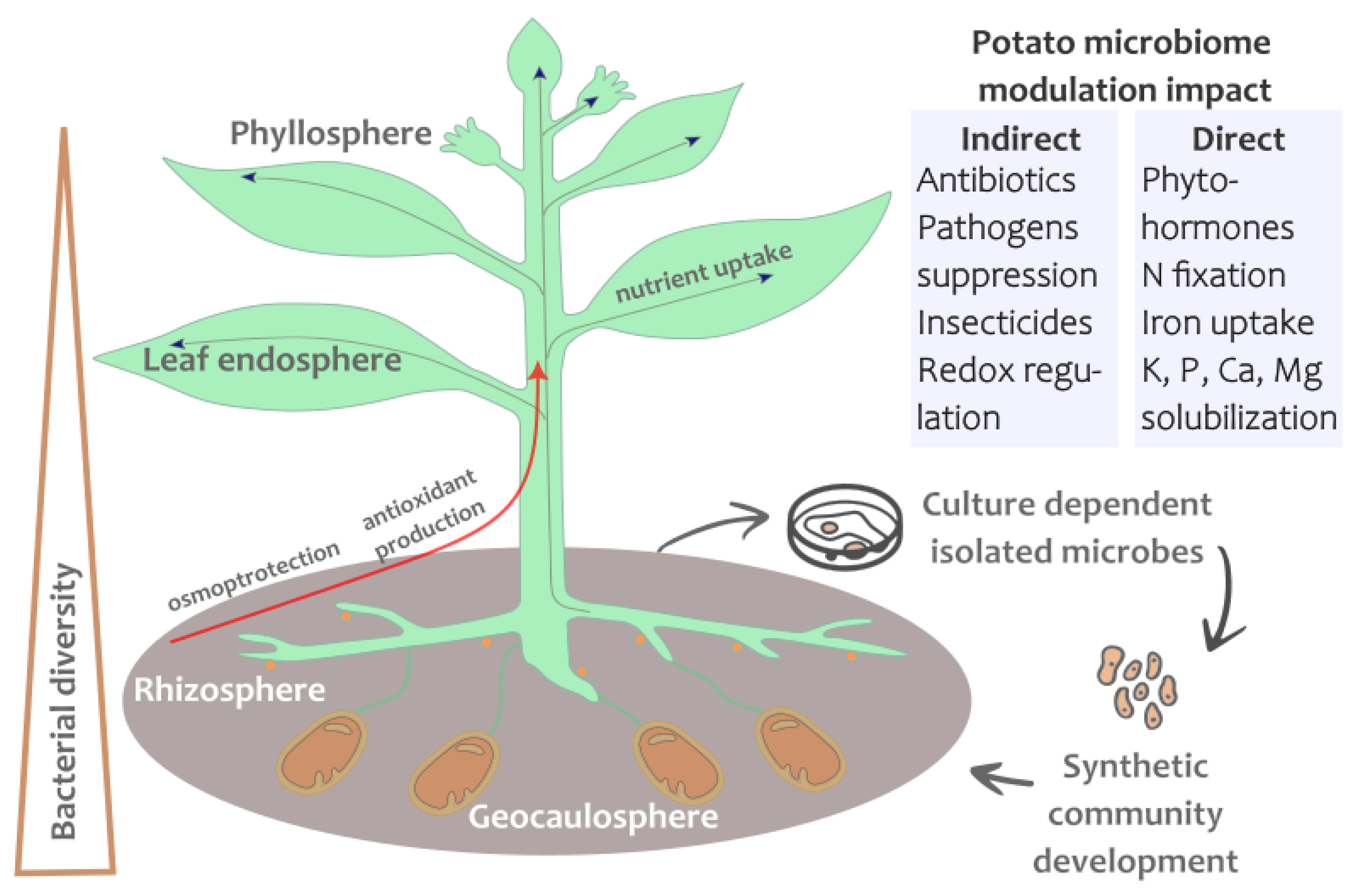 Ijms 25 00750 g002 Ijms 25 00750 g002