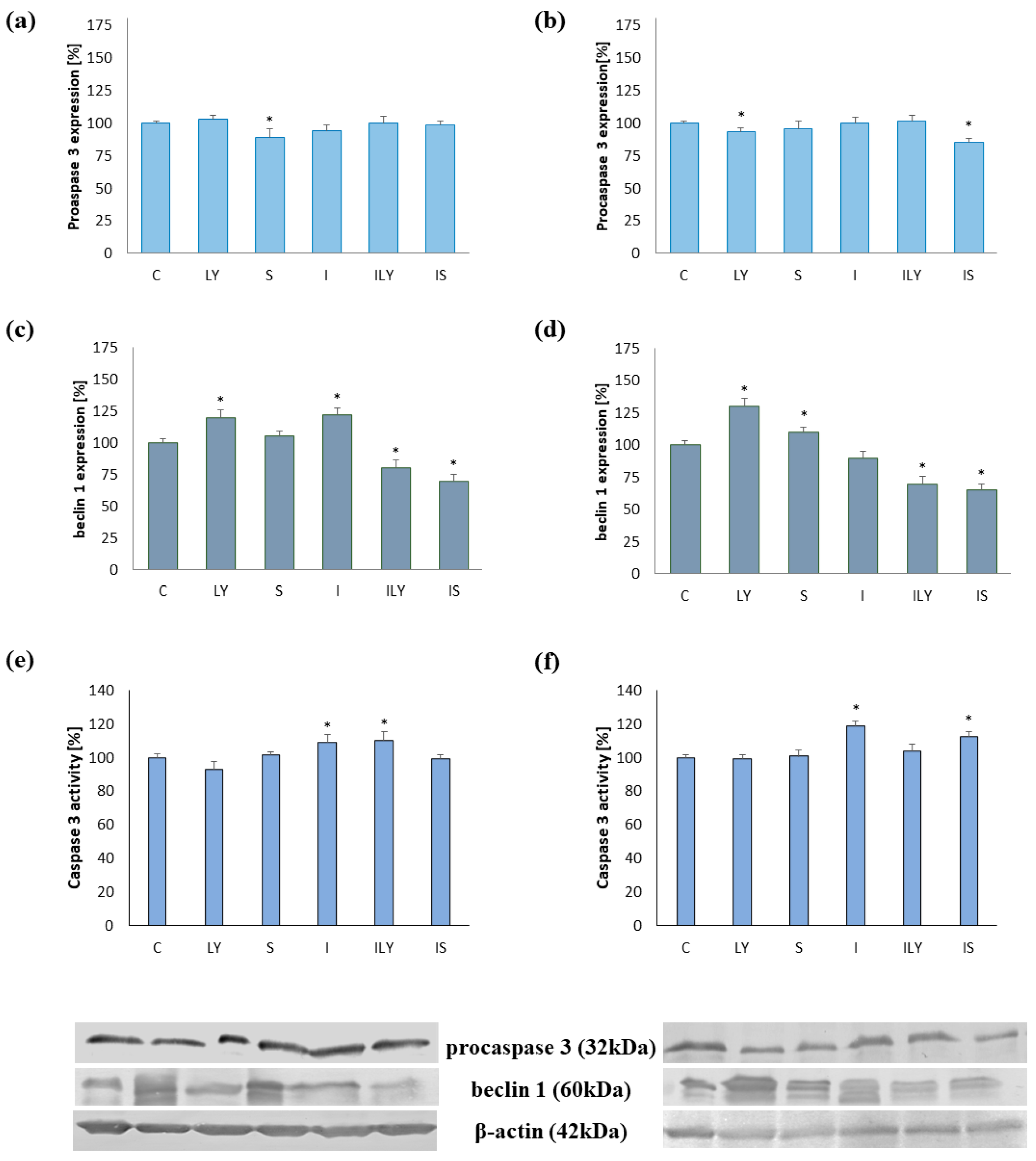 Ijms 25 00759 g007 Ijms 25 00759 g007