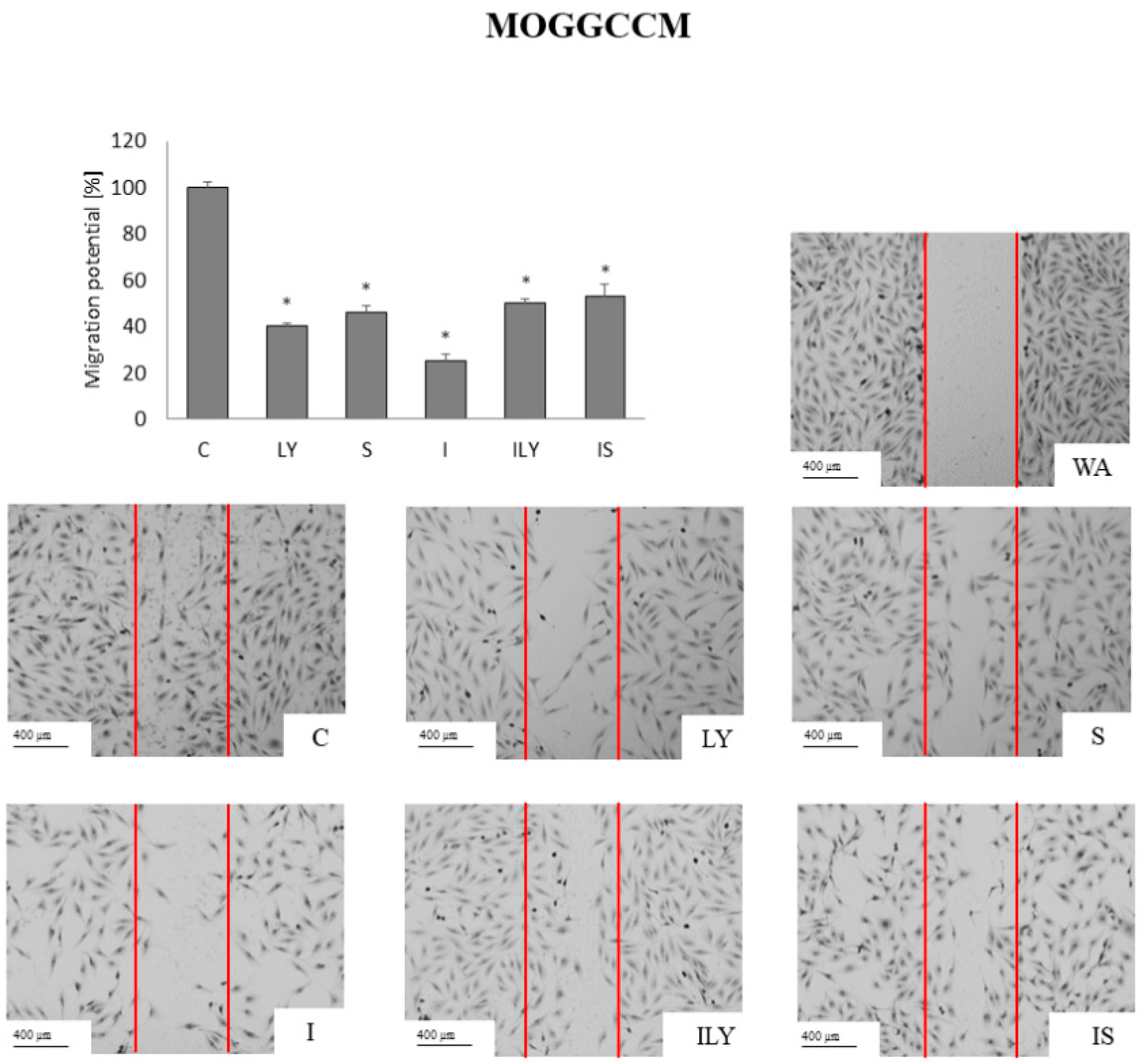 Ijms 25 00759 g009 Ijms 25 00759 g009
