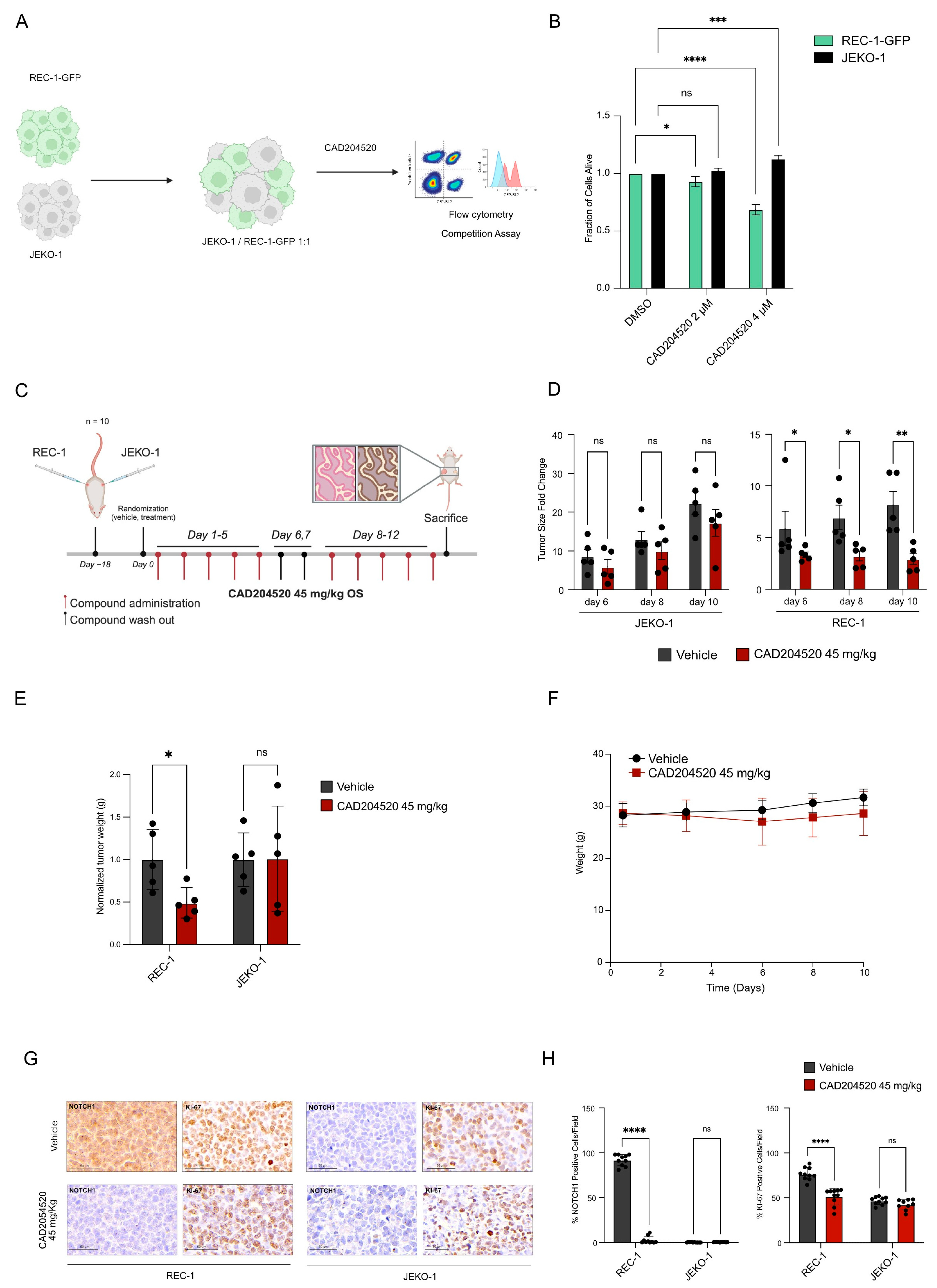 Ijms 25 00766 g003 Ijms 25 00766 g003