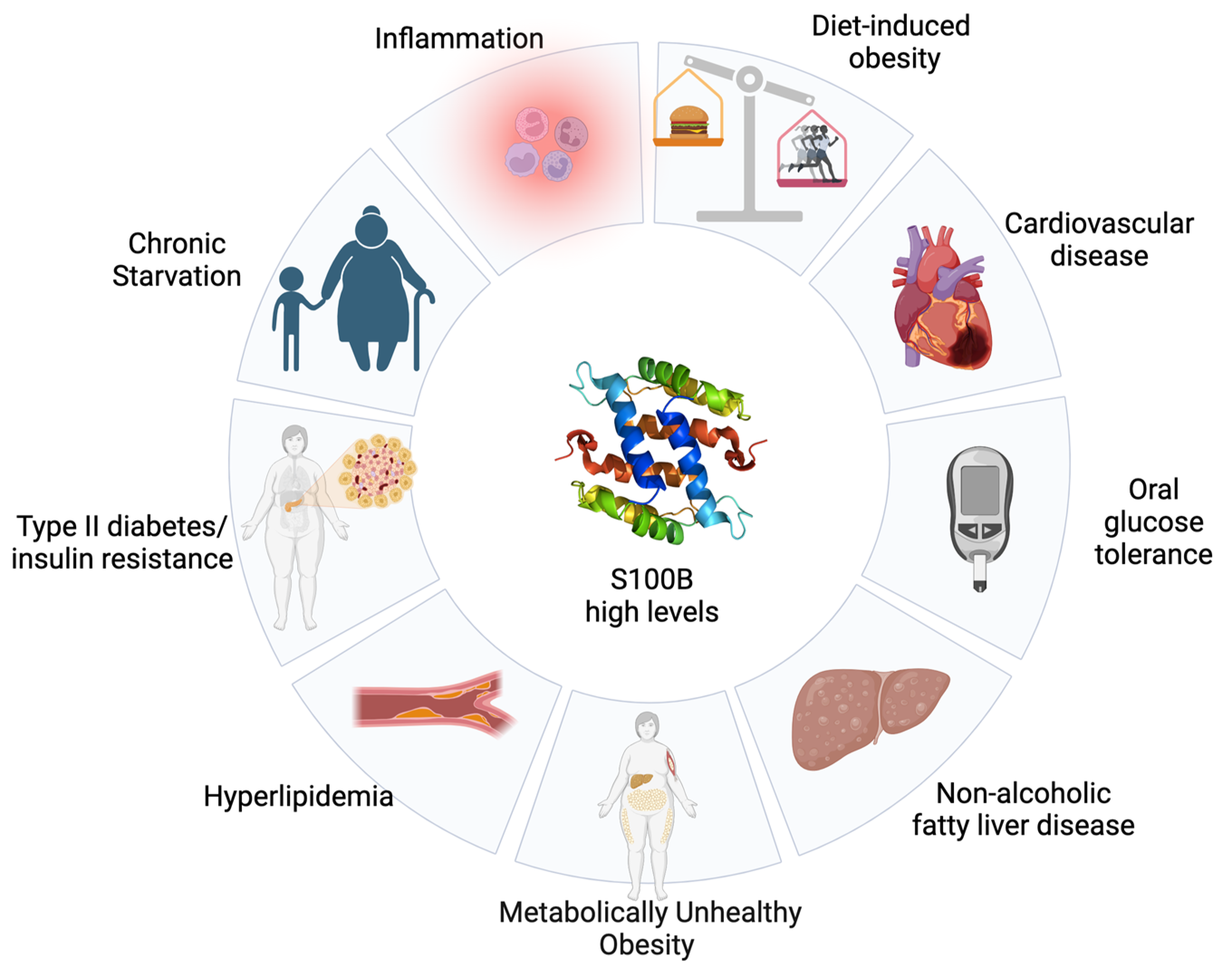 Ijms 25 00776 g002 Ijms 25 00776 g002