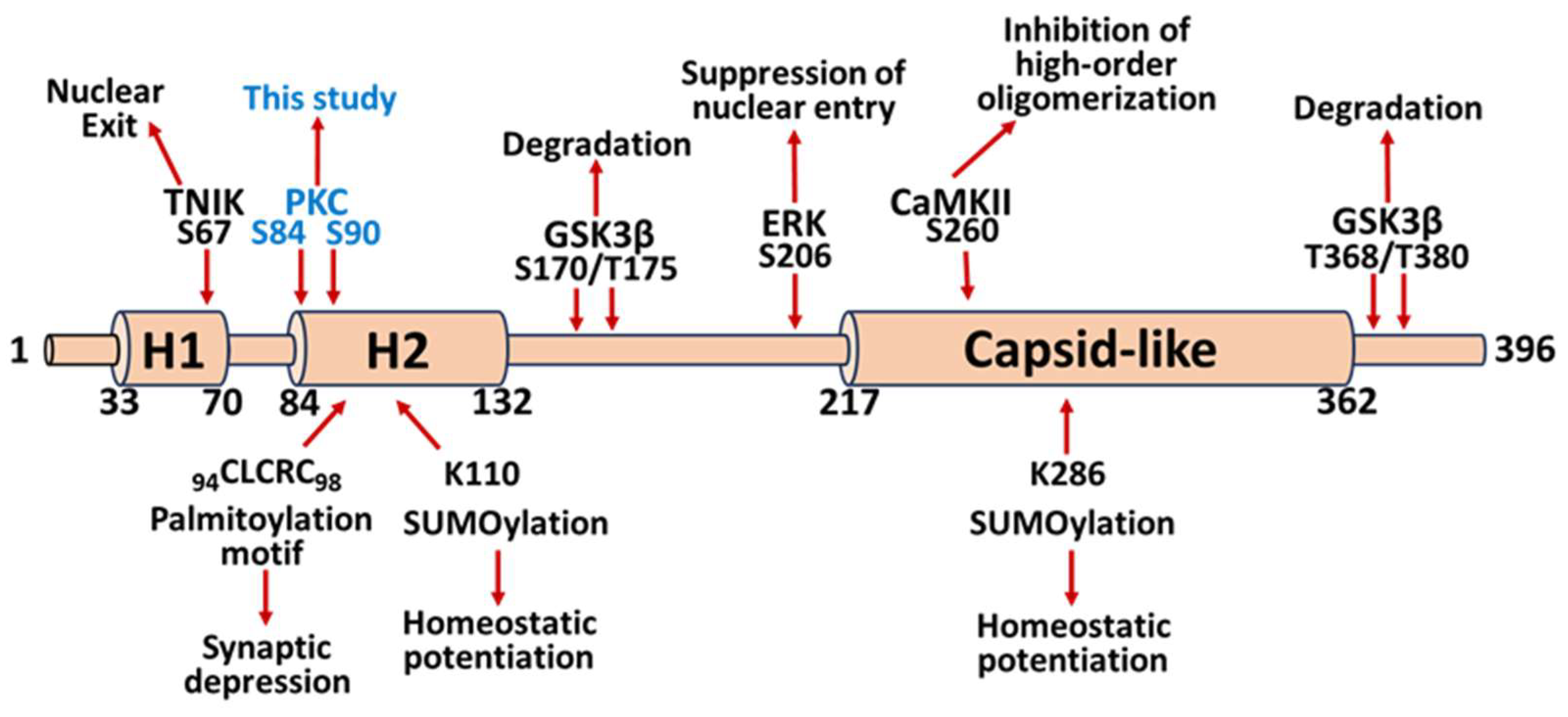 Ijms 25 00780 g001 Ijms 25 00780 g001