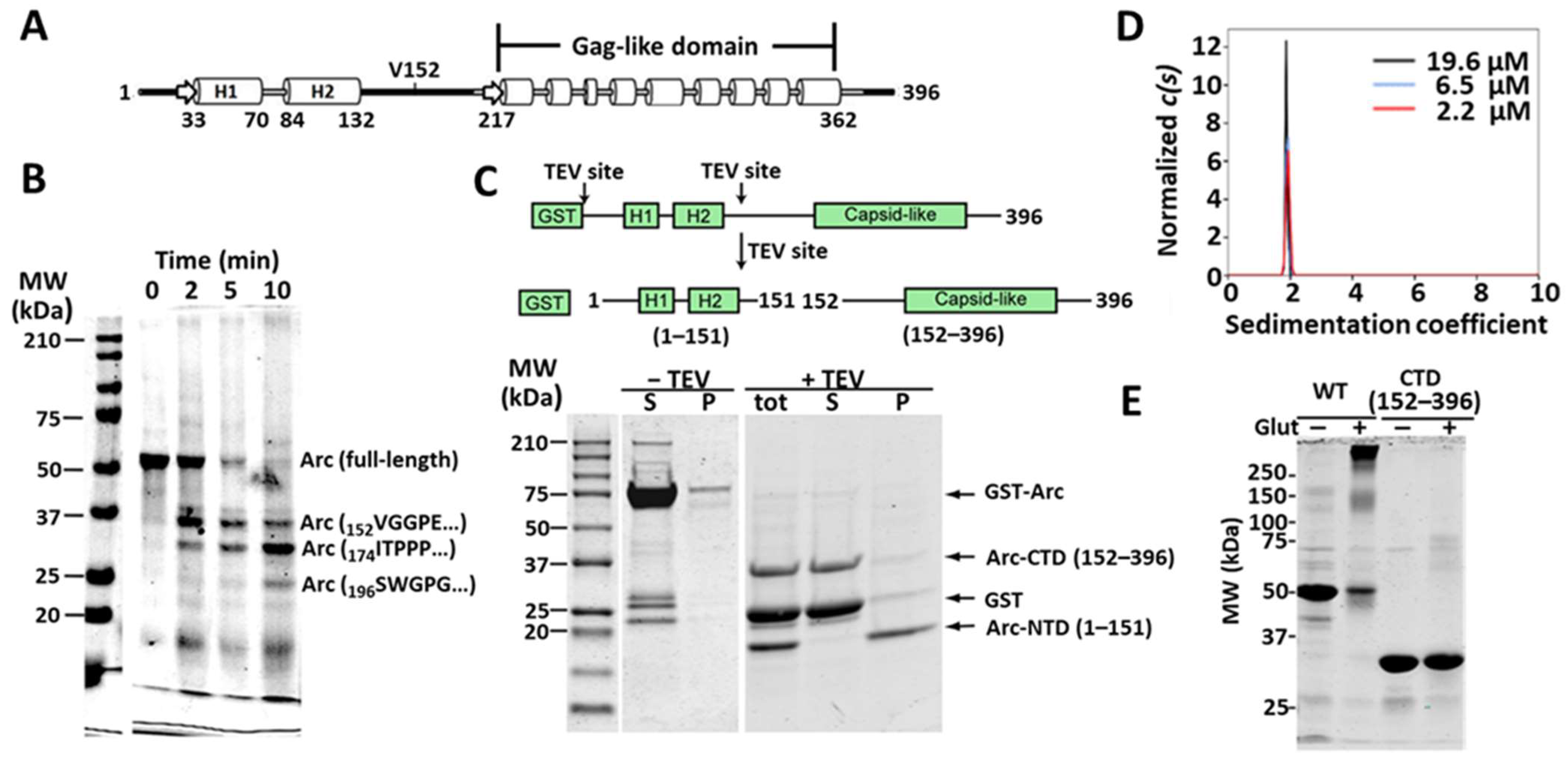 Ijms 25 00780 g002 Ijms 25 00780 g002