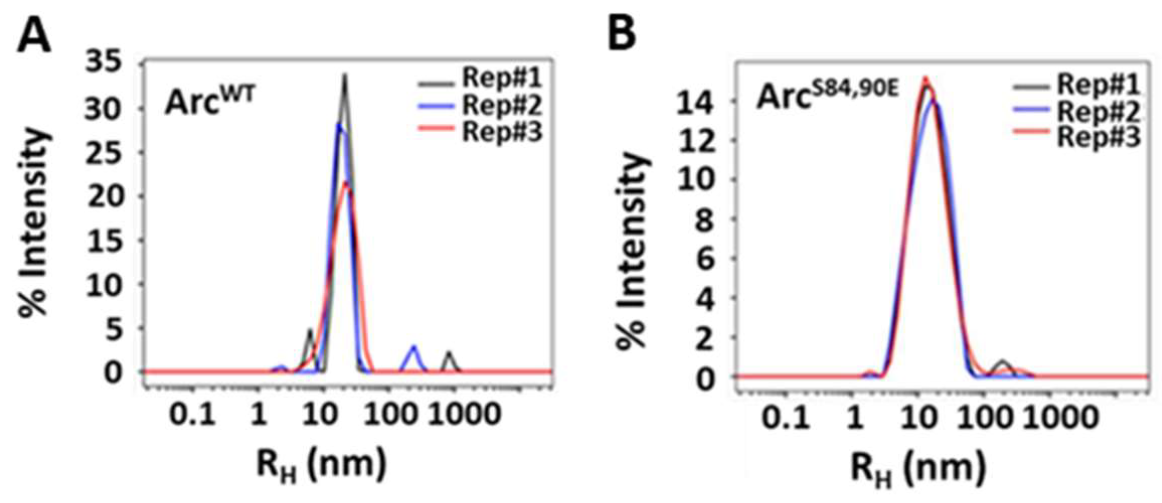 Ijms 25 00780 g004 Ijms 25 00780 g004