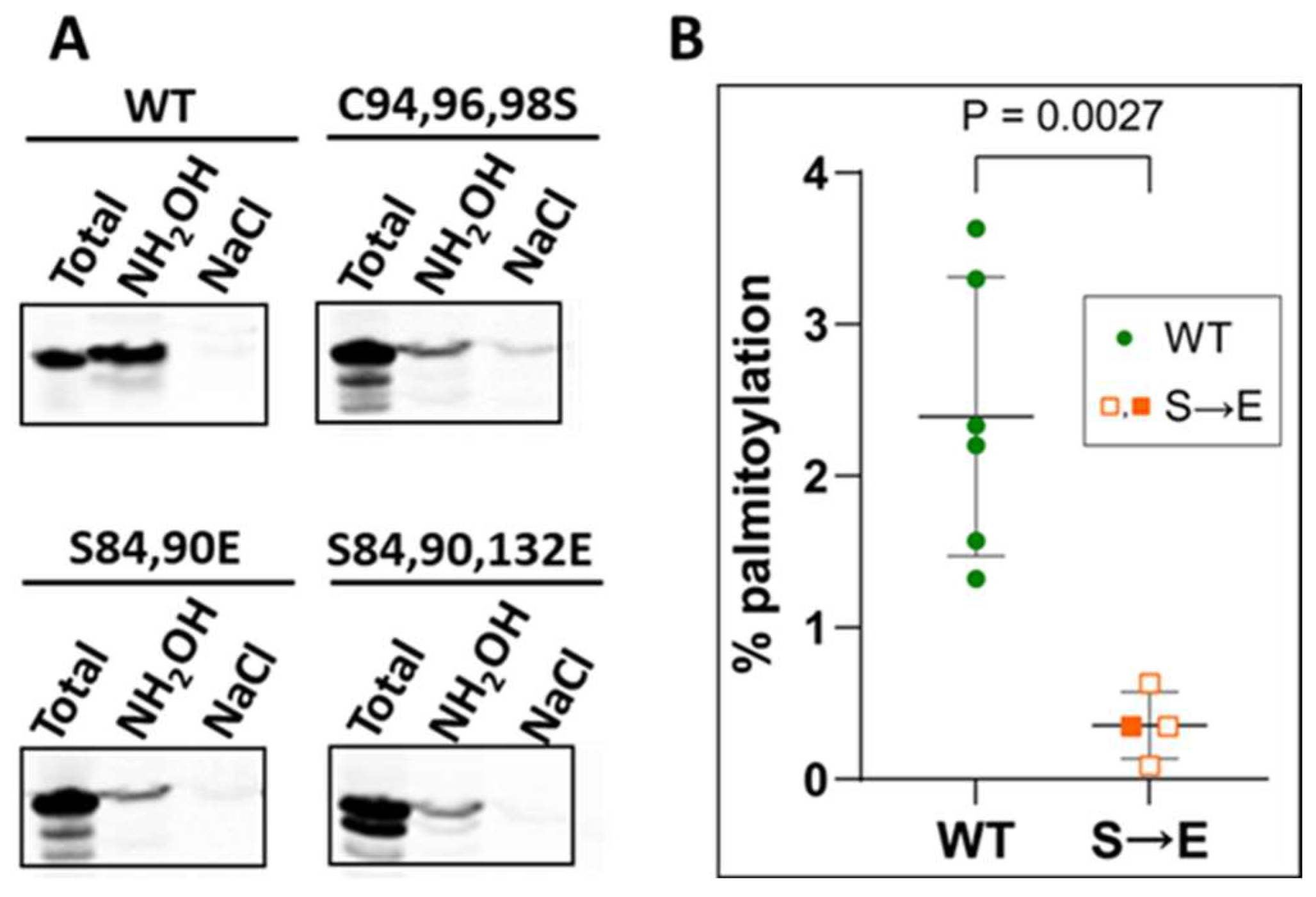 Ijms 25 00780 g005 Ijms 25 00780 g005