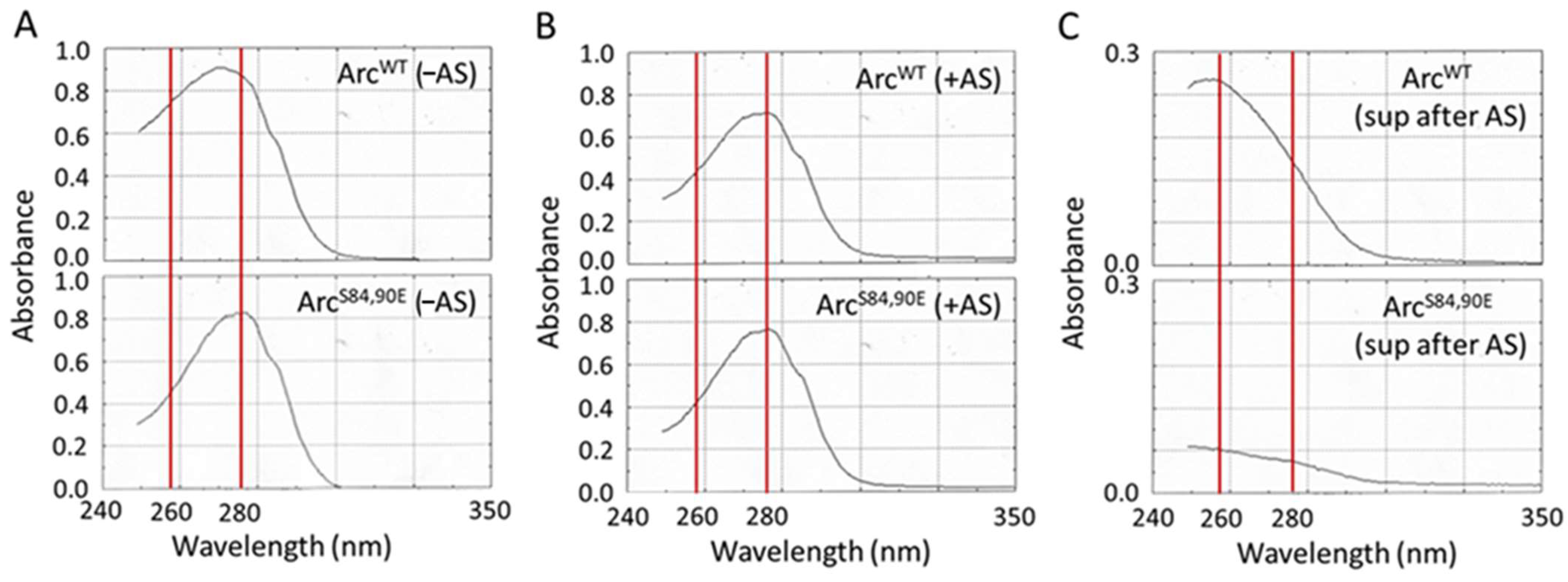 Ijms 25 00780 g006 Ijms 25 00780 g006