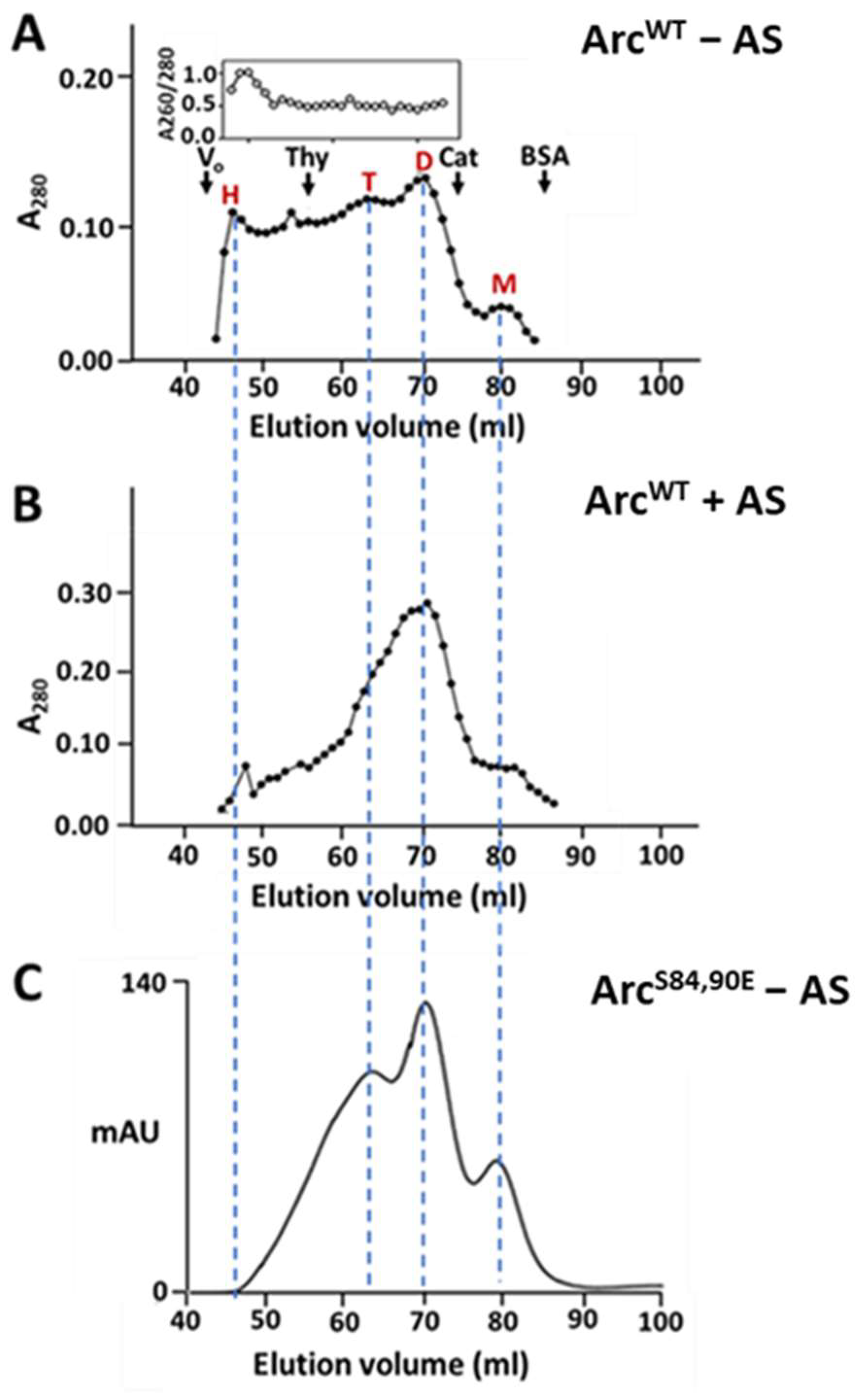 Ijms 25 00780 g007 Ijms 25 00780 g007