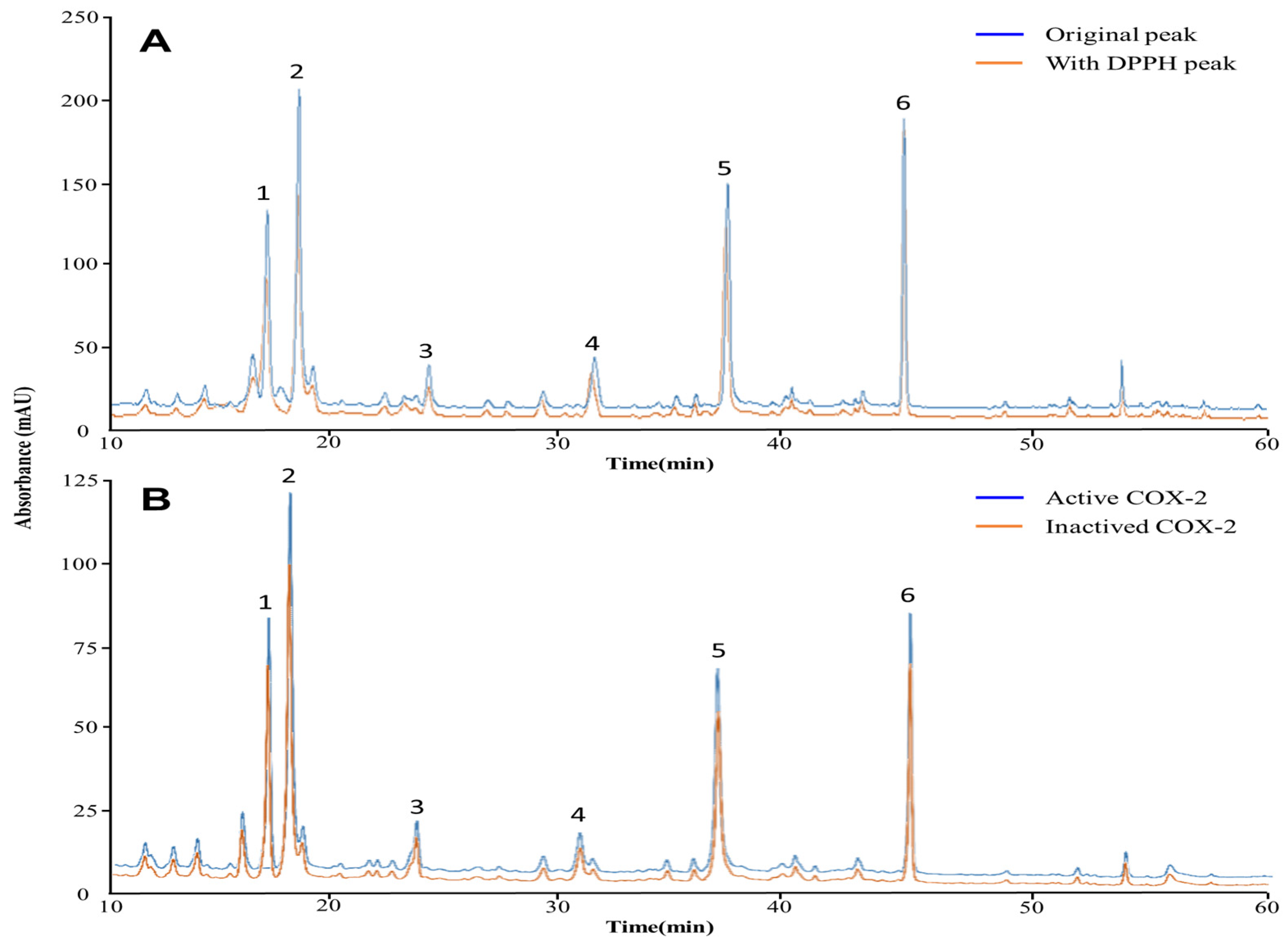 Ijms 25 00785 g001 Ijms 25 00785 g001