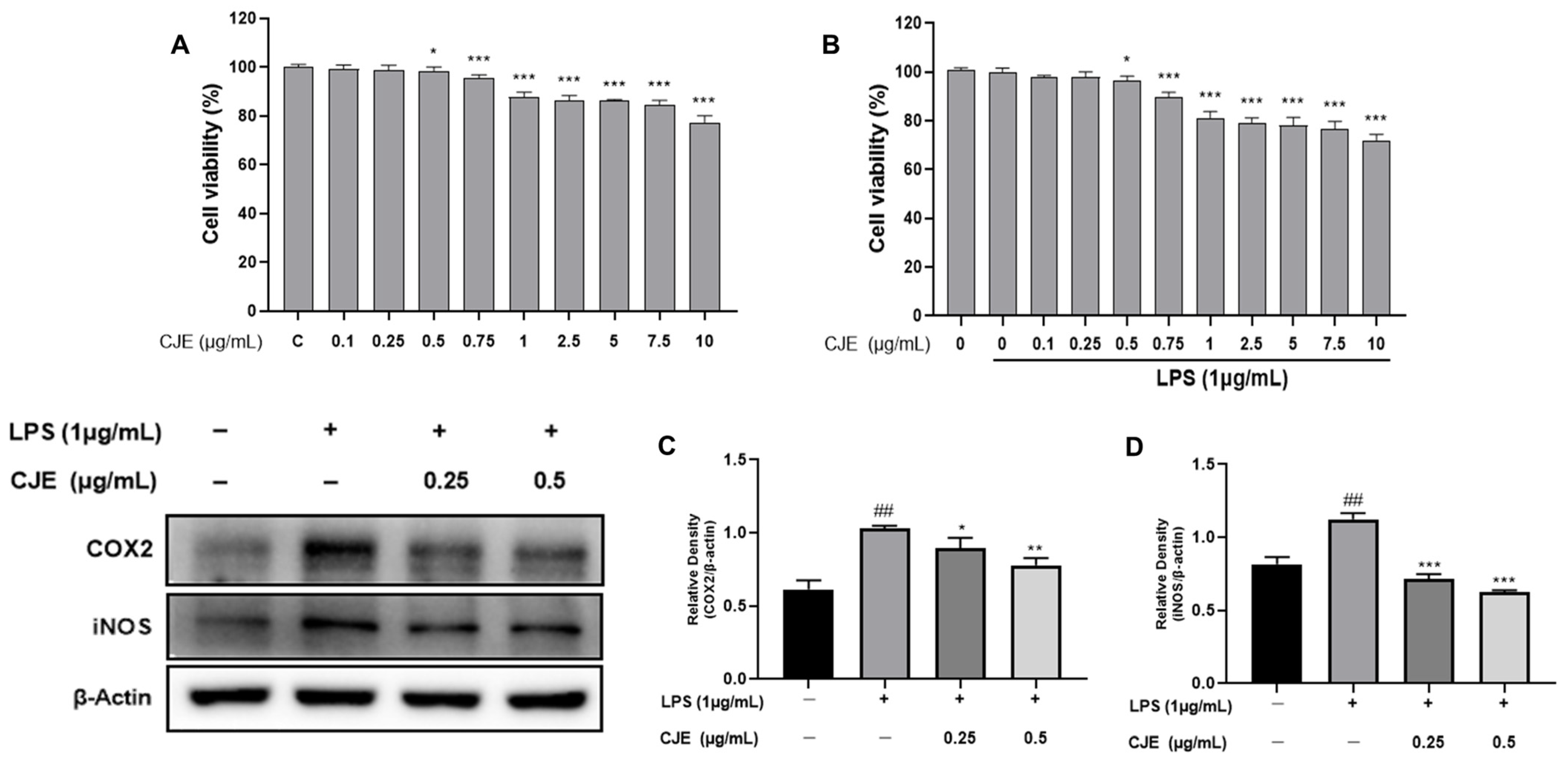Ijms 25 00785 g003 Ijms 25 00785 g003