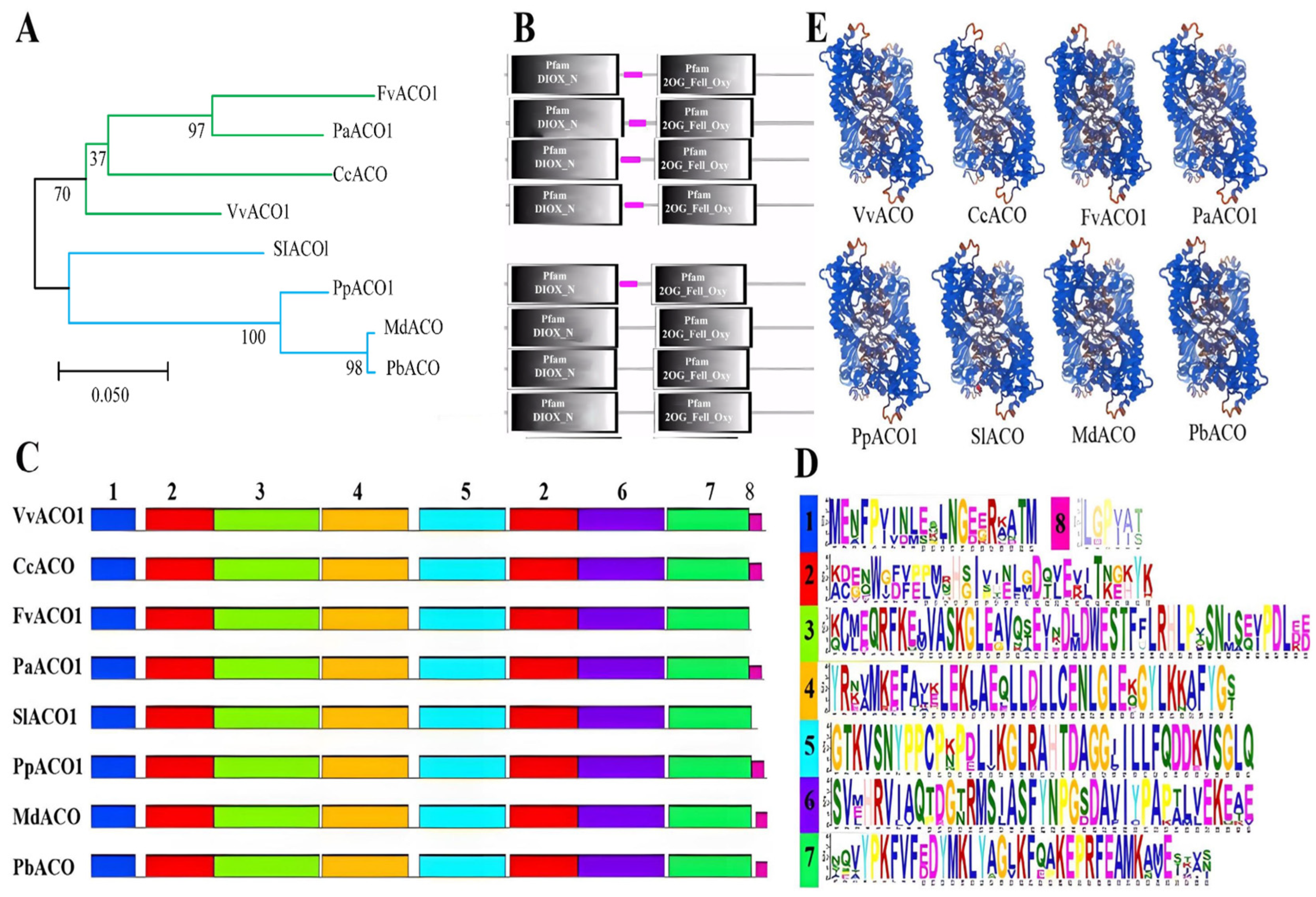 Ijms 25 00789 g002 Ijms 25 00789 g002