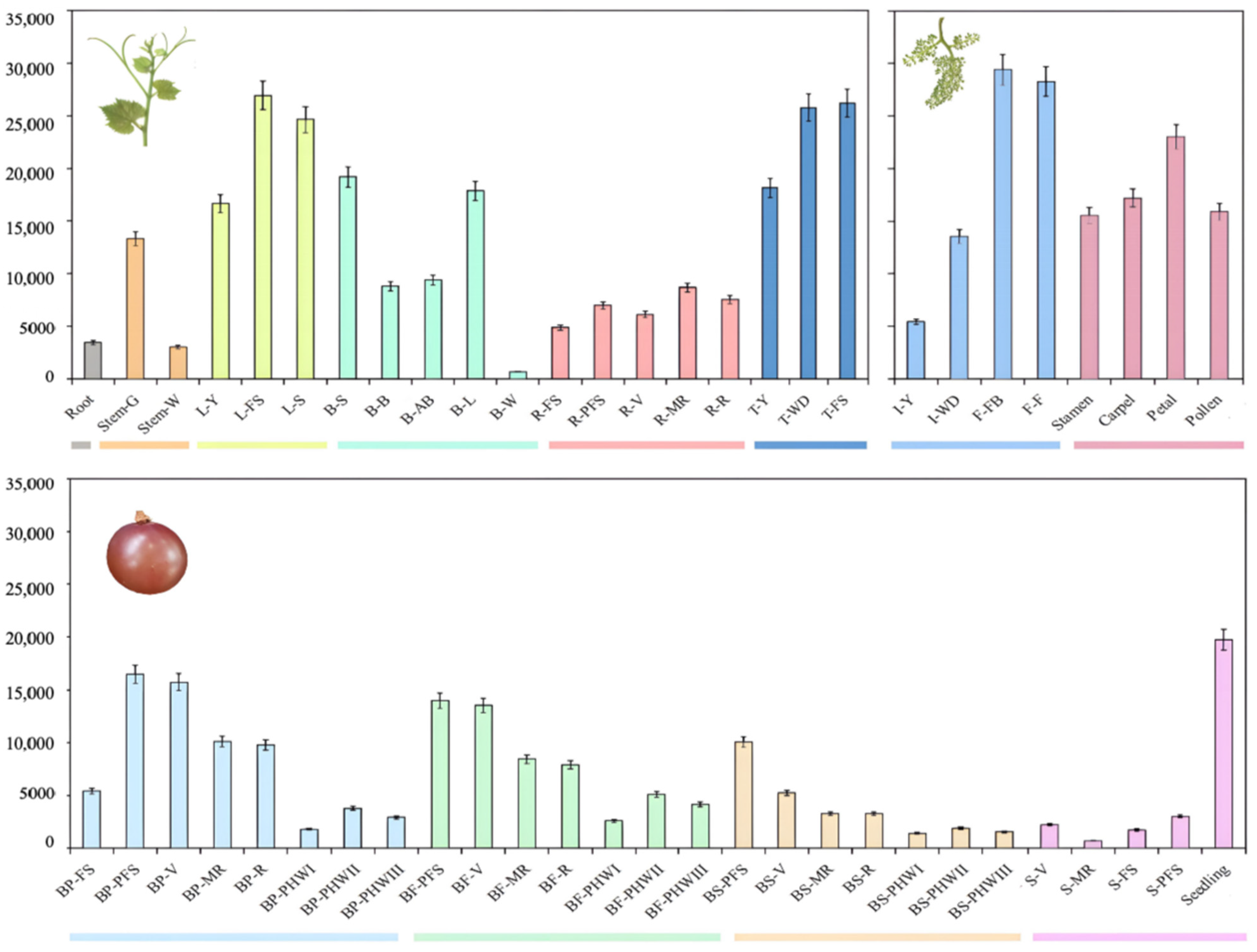 Ijms 25 00789 g004 Ijms 25 00789 g004