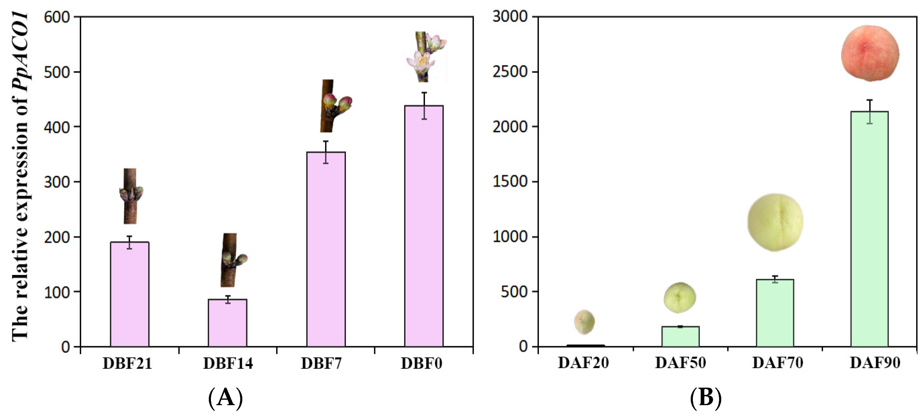 Ijms 25 00789 g005 Ijms 25 00789 g005