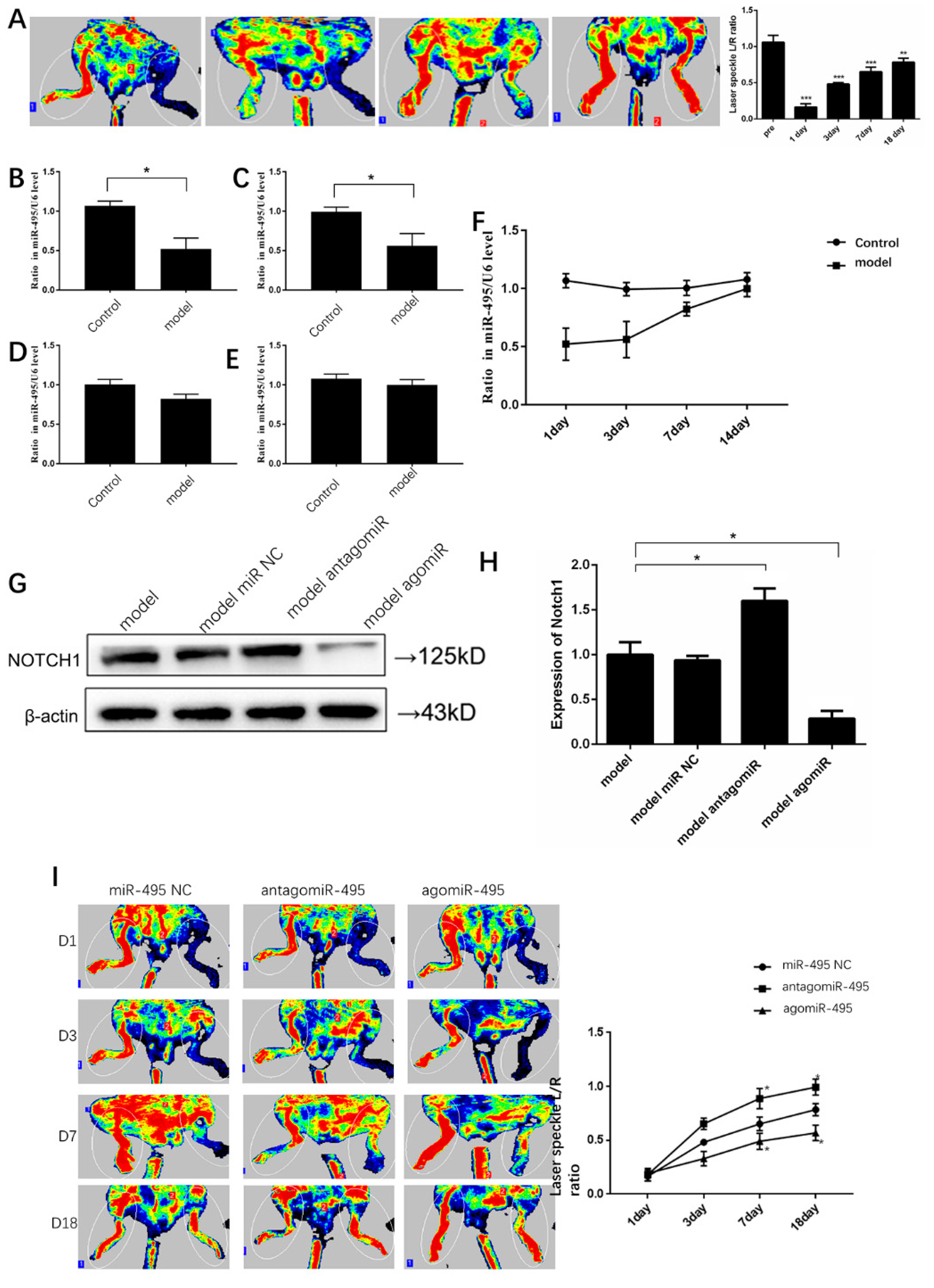 Ijms 25 00793 g007 Ijms 25 00793 g007