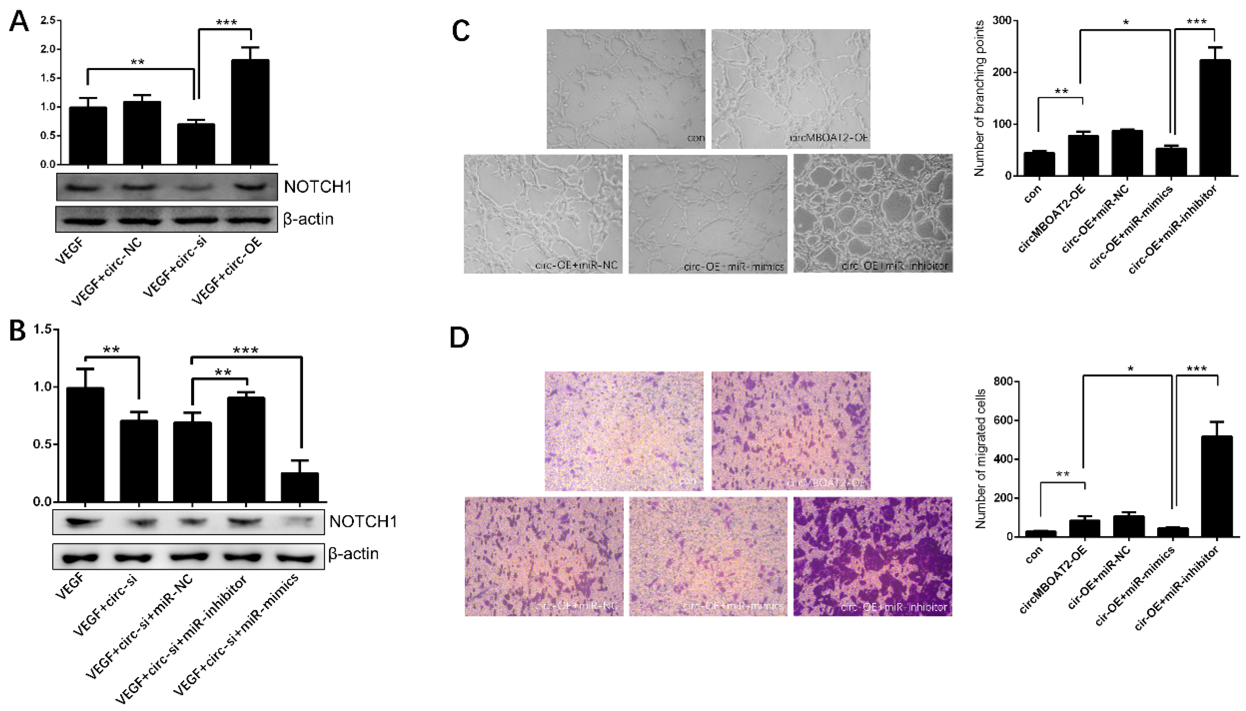 Ijms 25 00793 g008 Ijms 25 00793 g008