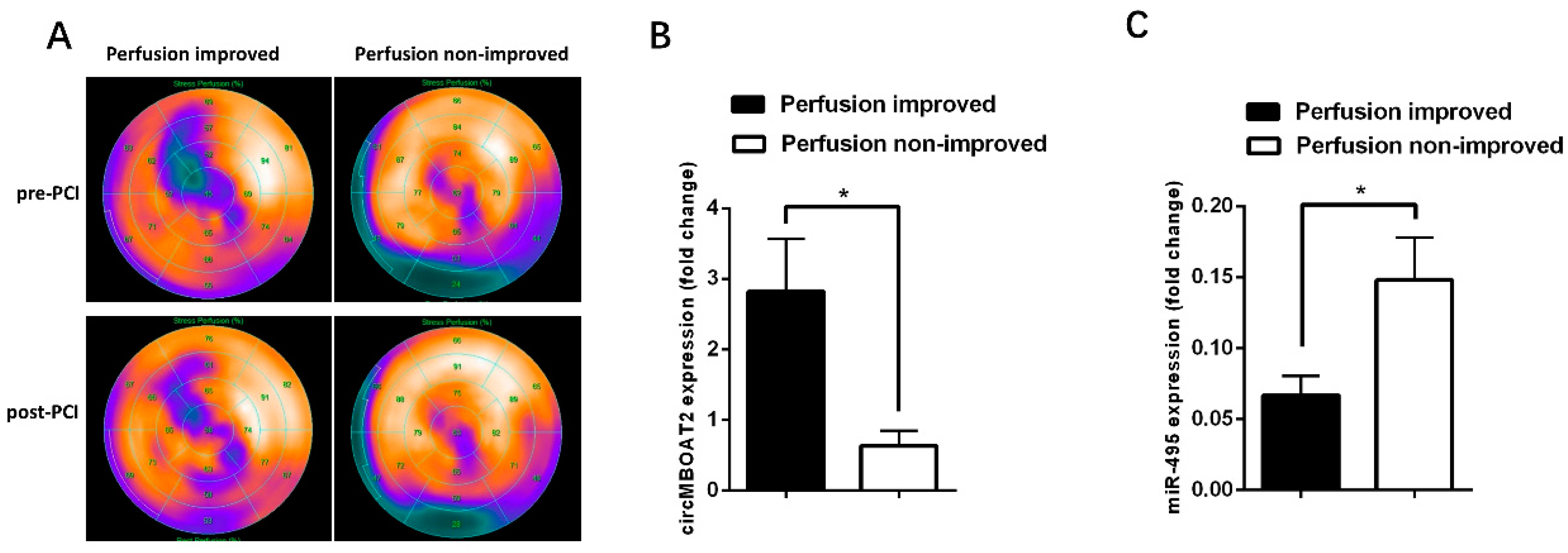 Ijms 25 00793 g009 Ijms 25 00793 g009