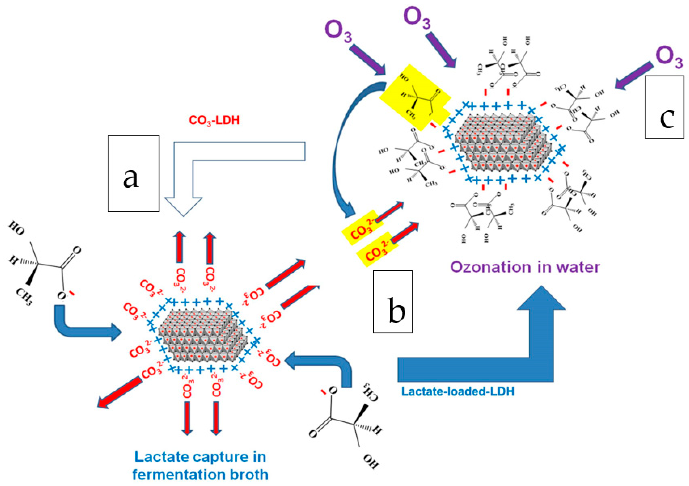 Ijms 25 00808 sch003