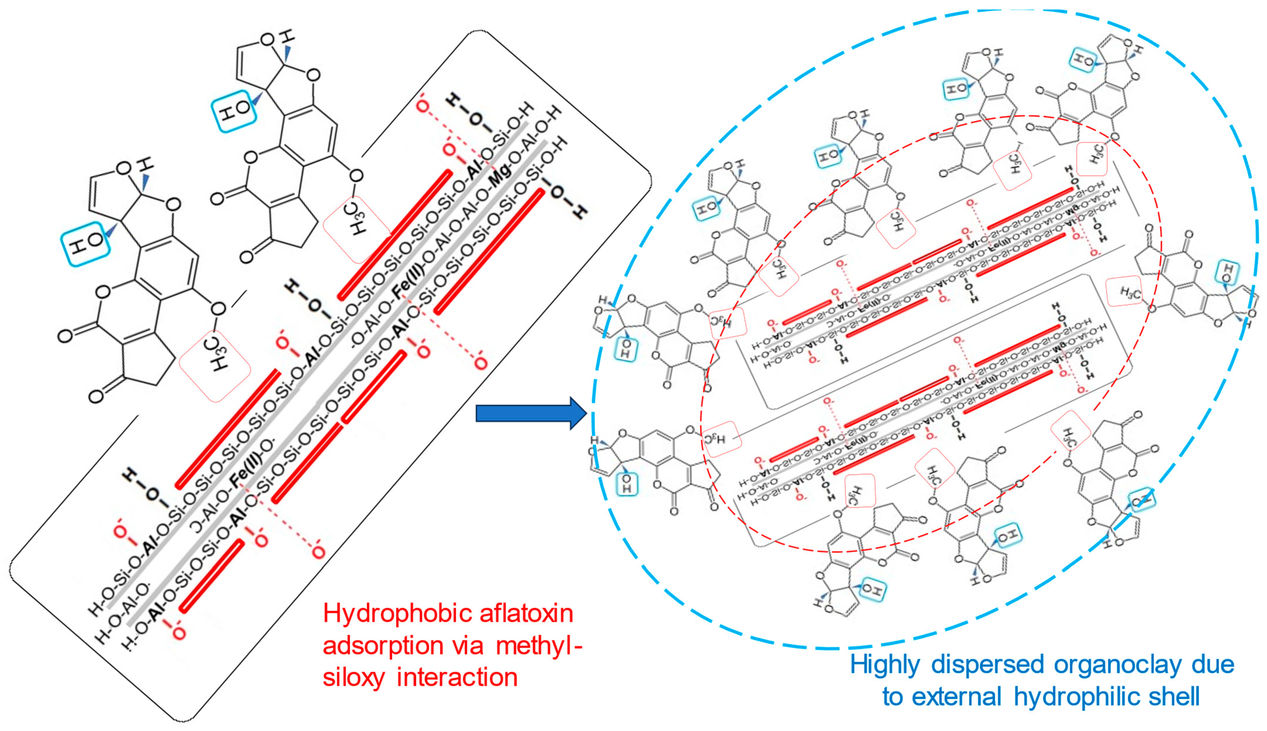 Ijms 25 00808 sch006