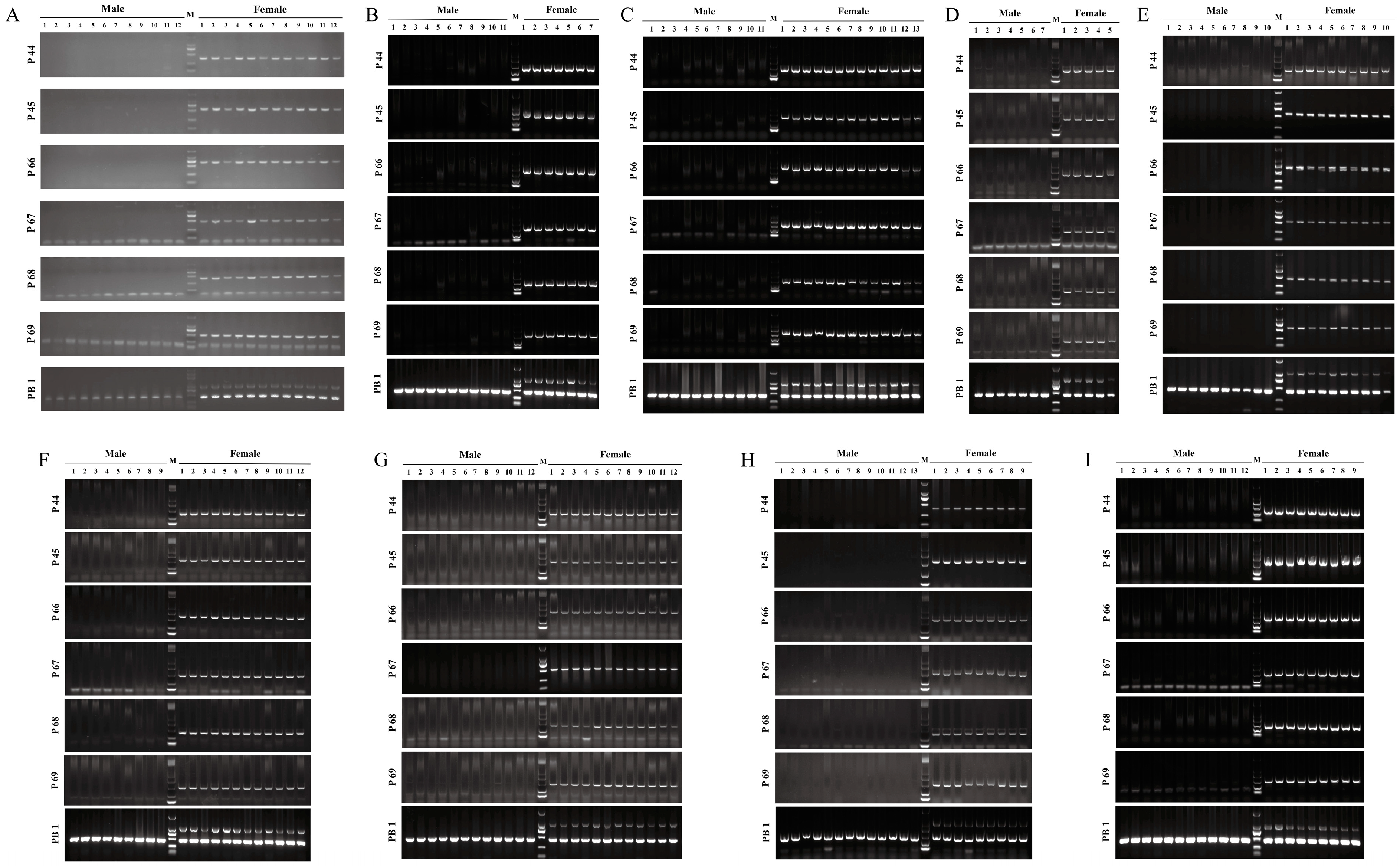 Ijms 25 00819 g004 Ijms 25 00819 g004