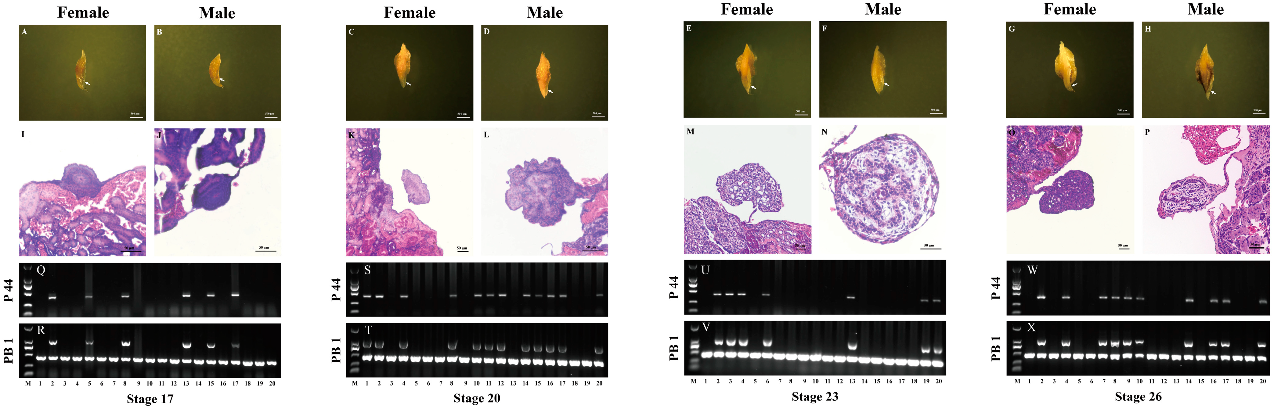 Ijms 25 00819 g005 Ijms 25 00819 g005
